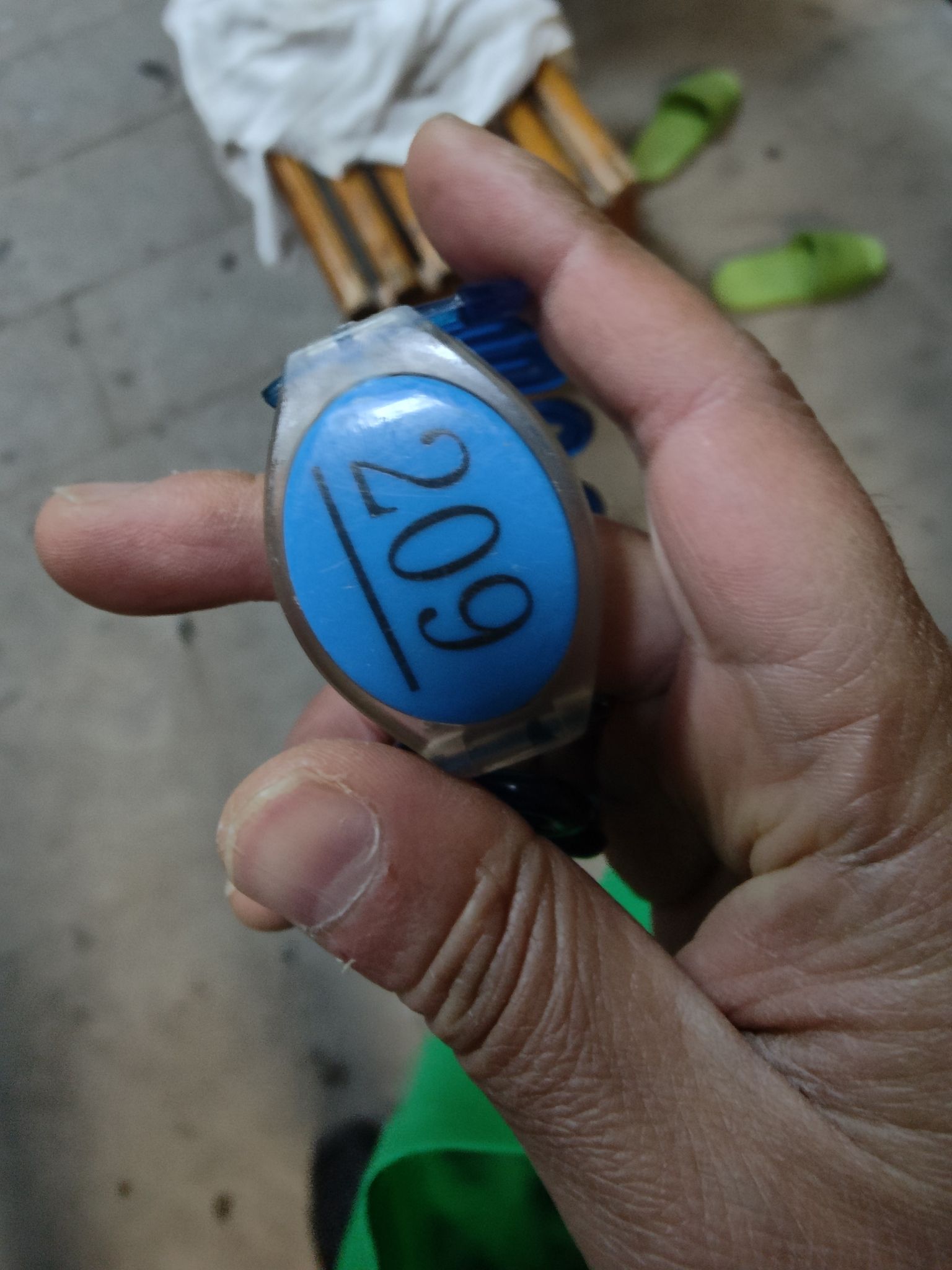 南海温泉公园旅行图片 2