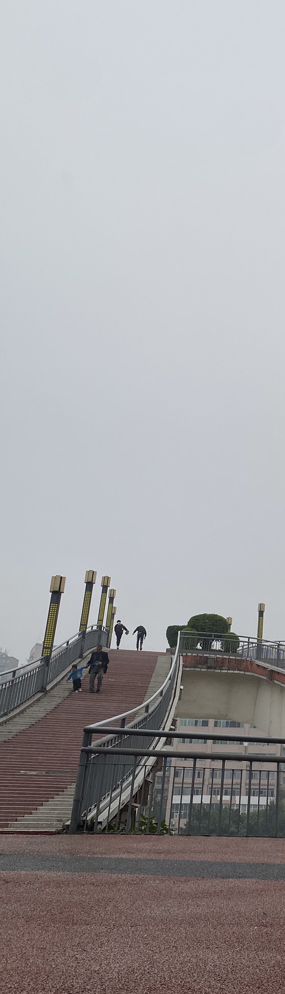 虹桥公园旅行图片 3