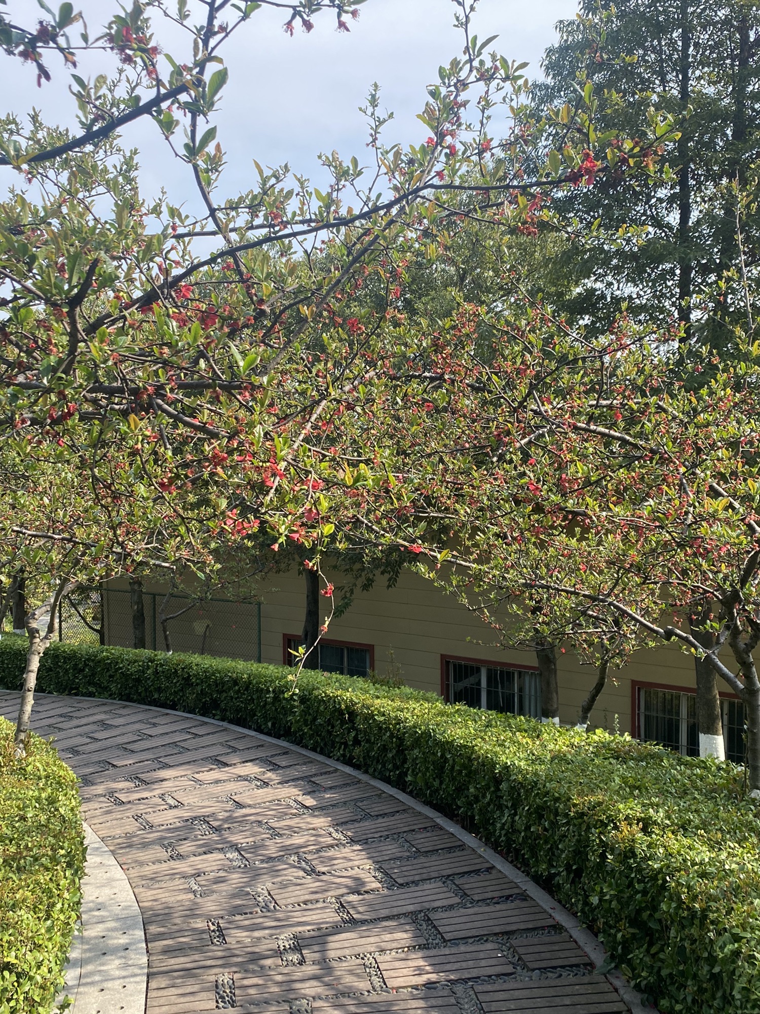 渝北黄桷坪体育公园旅行图片 3
