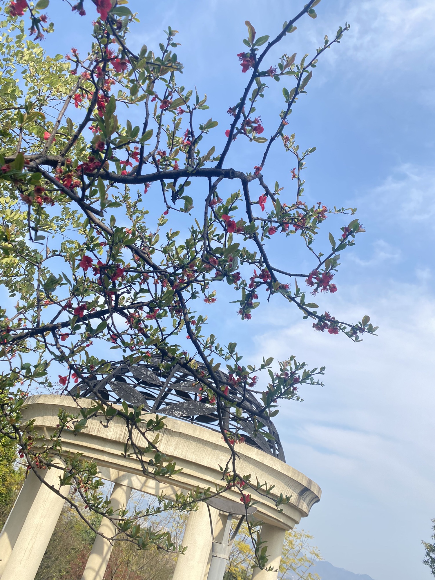 渝北黄桷坪体育公园旅行图片 2