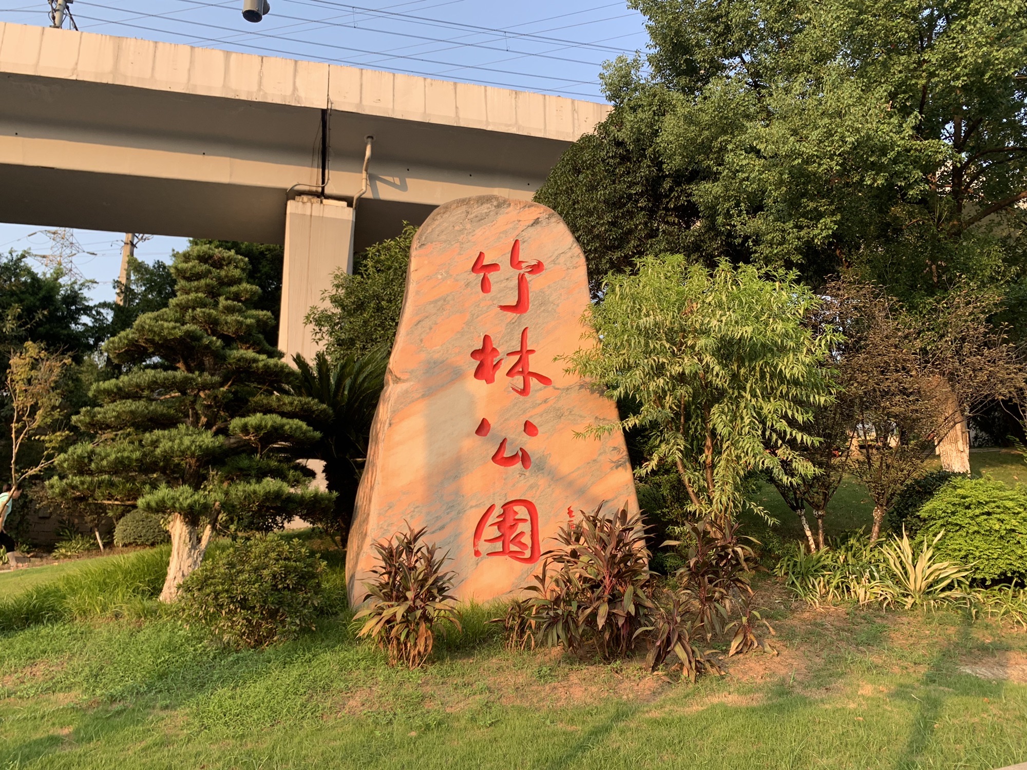 竹林公园旅行图片 1