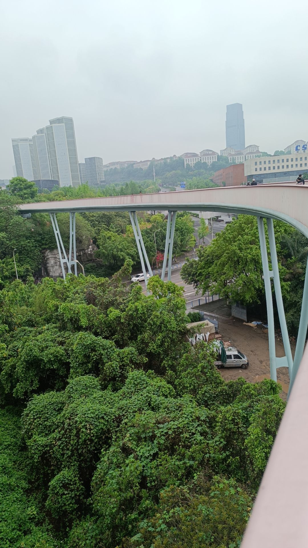 竹林公园旅行图片 2