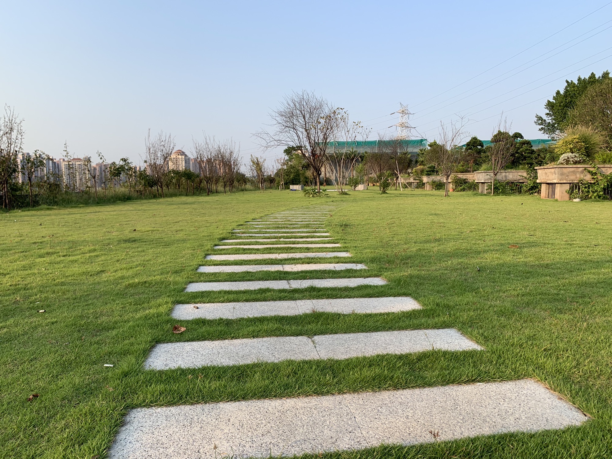 竹林公园旅行图片 3