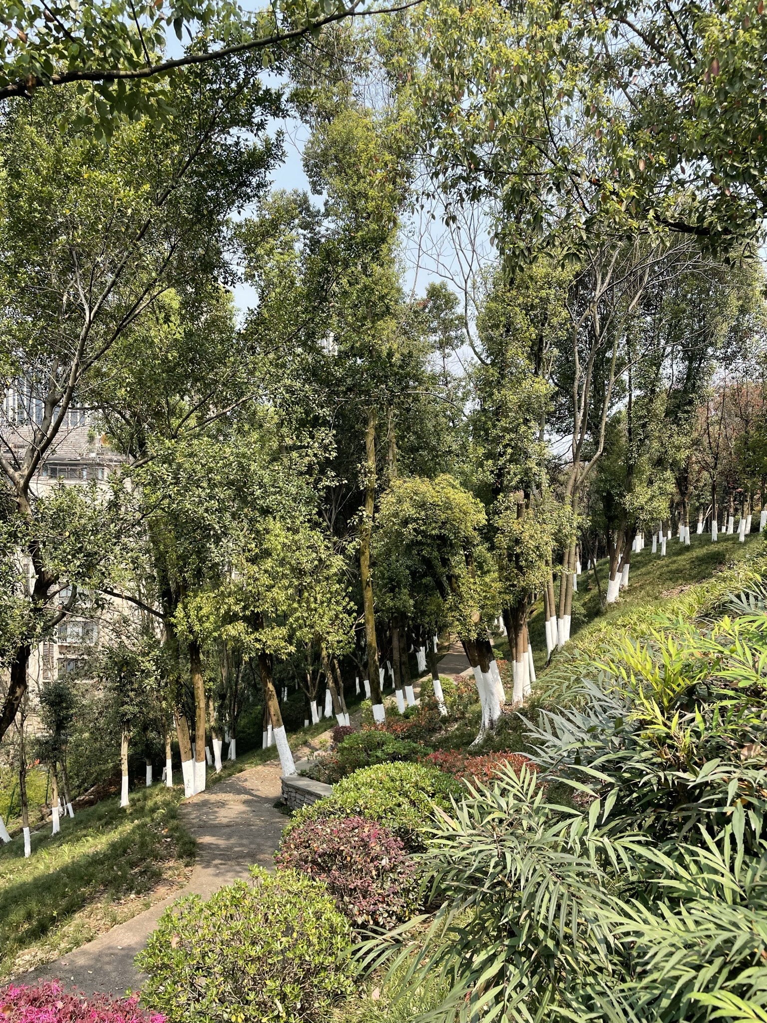 同景公园旅行图片 3