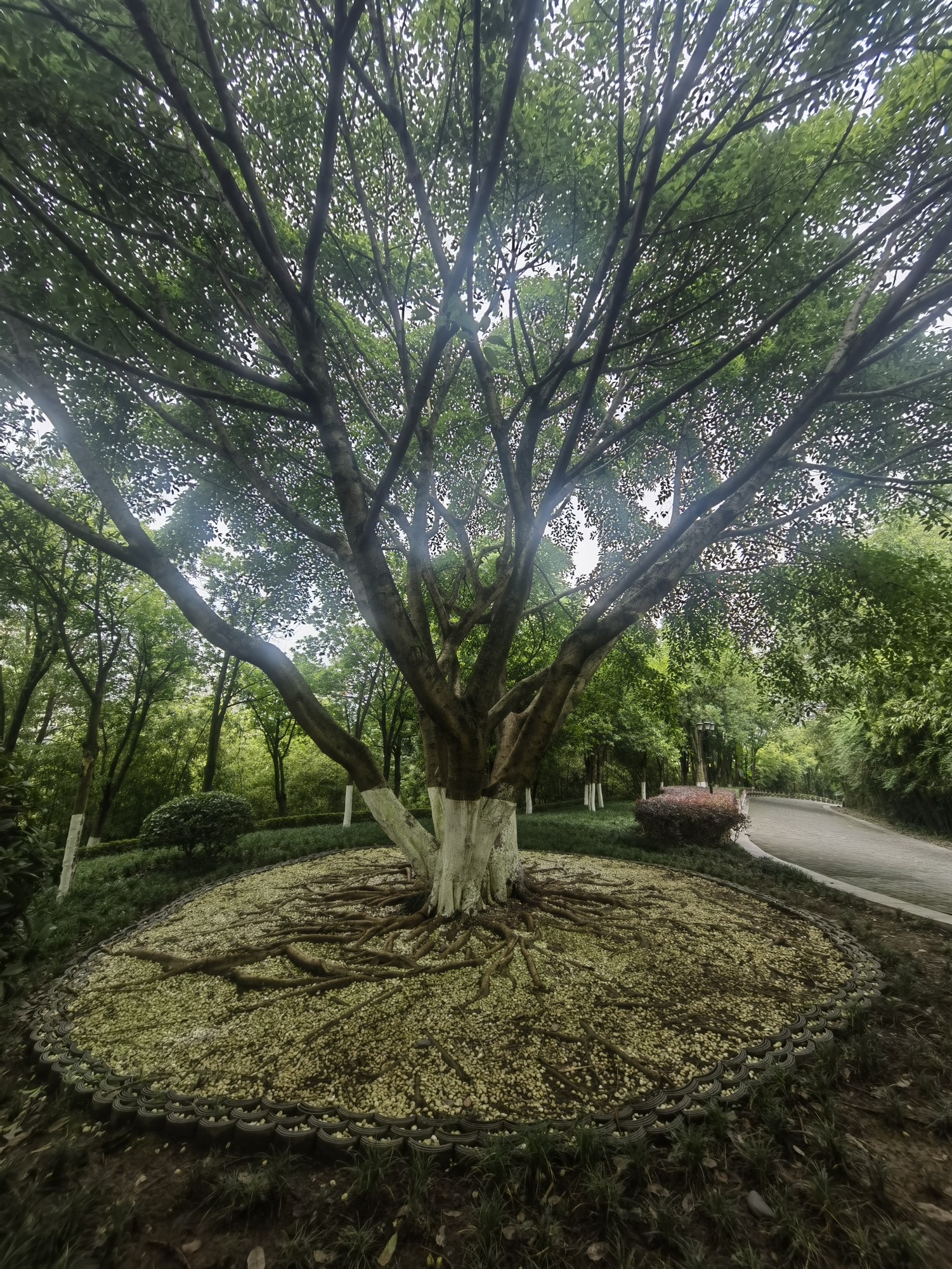 同景公园旅行图片 3
