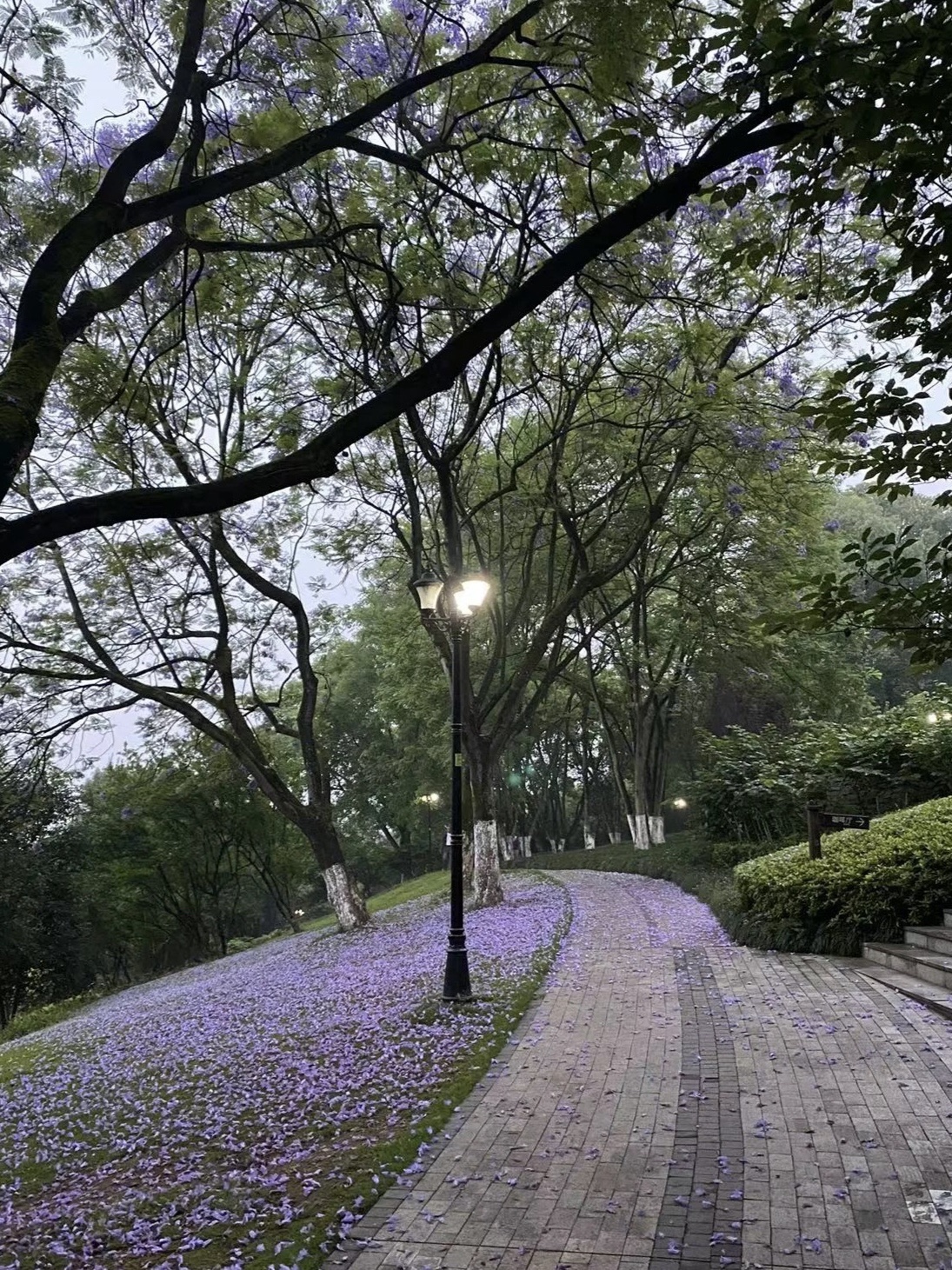 同景公园旅行图片 3