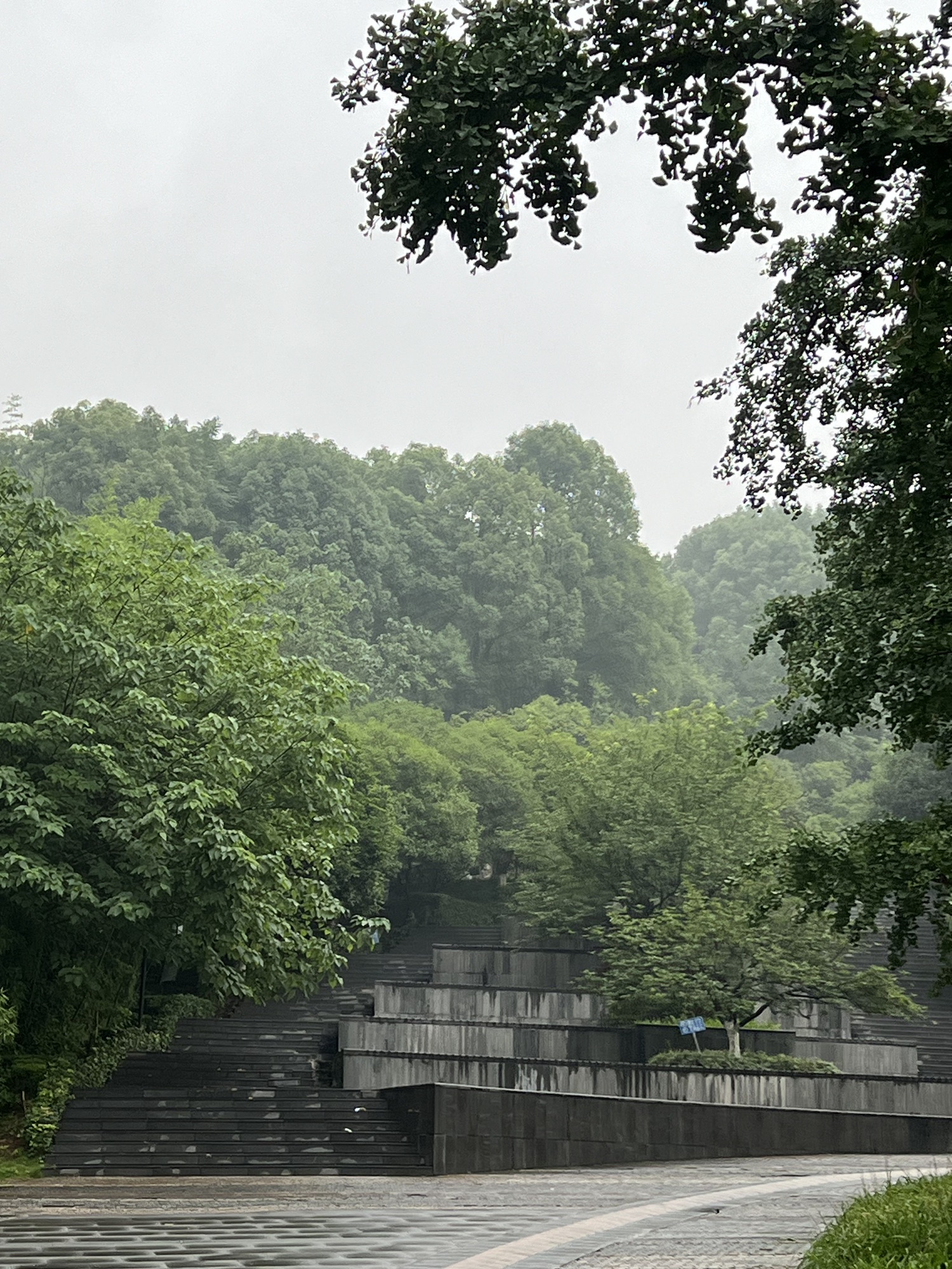 同景公园旅行图片 2