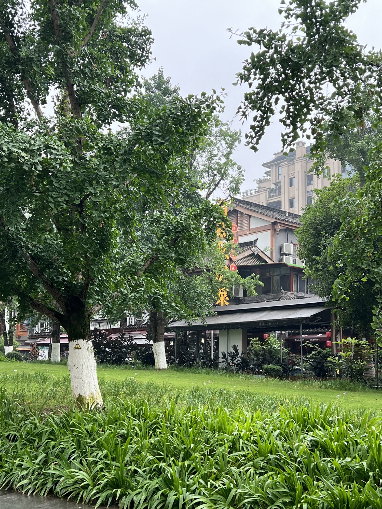 同景公园旅行图片 3