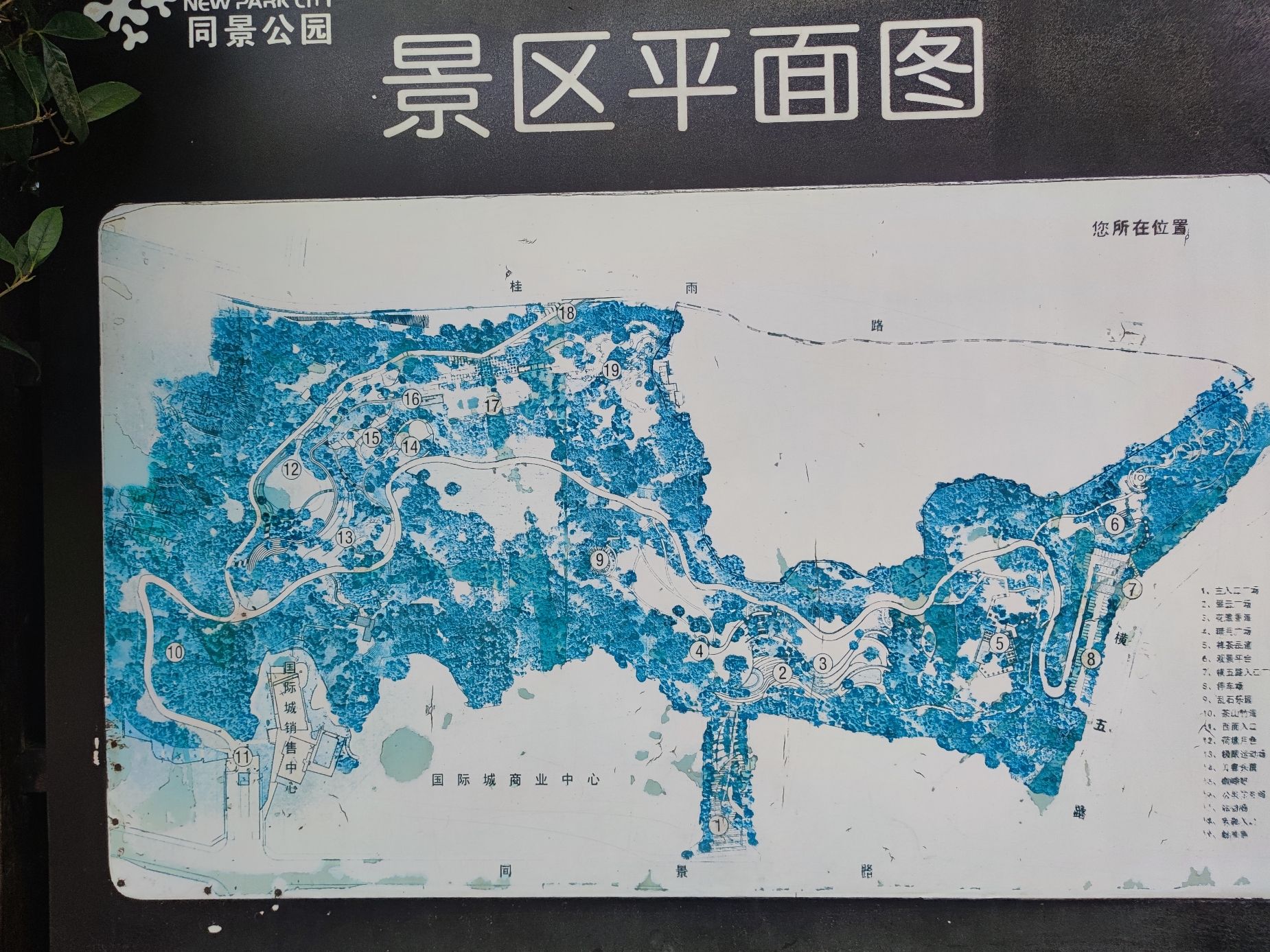 同景公园旅行图片 3