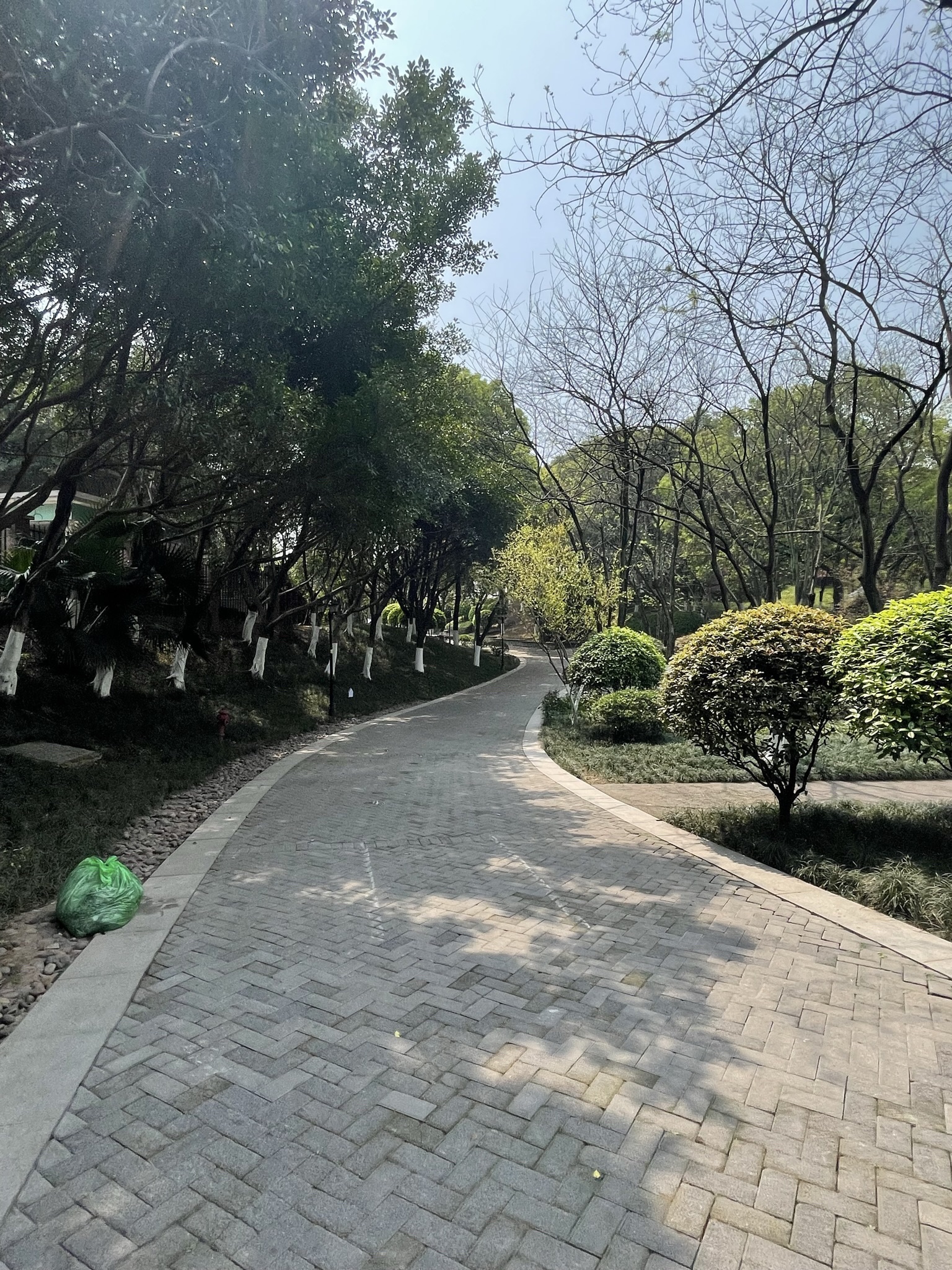 同景公园旅行图片 2