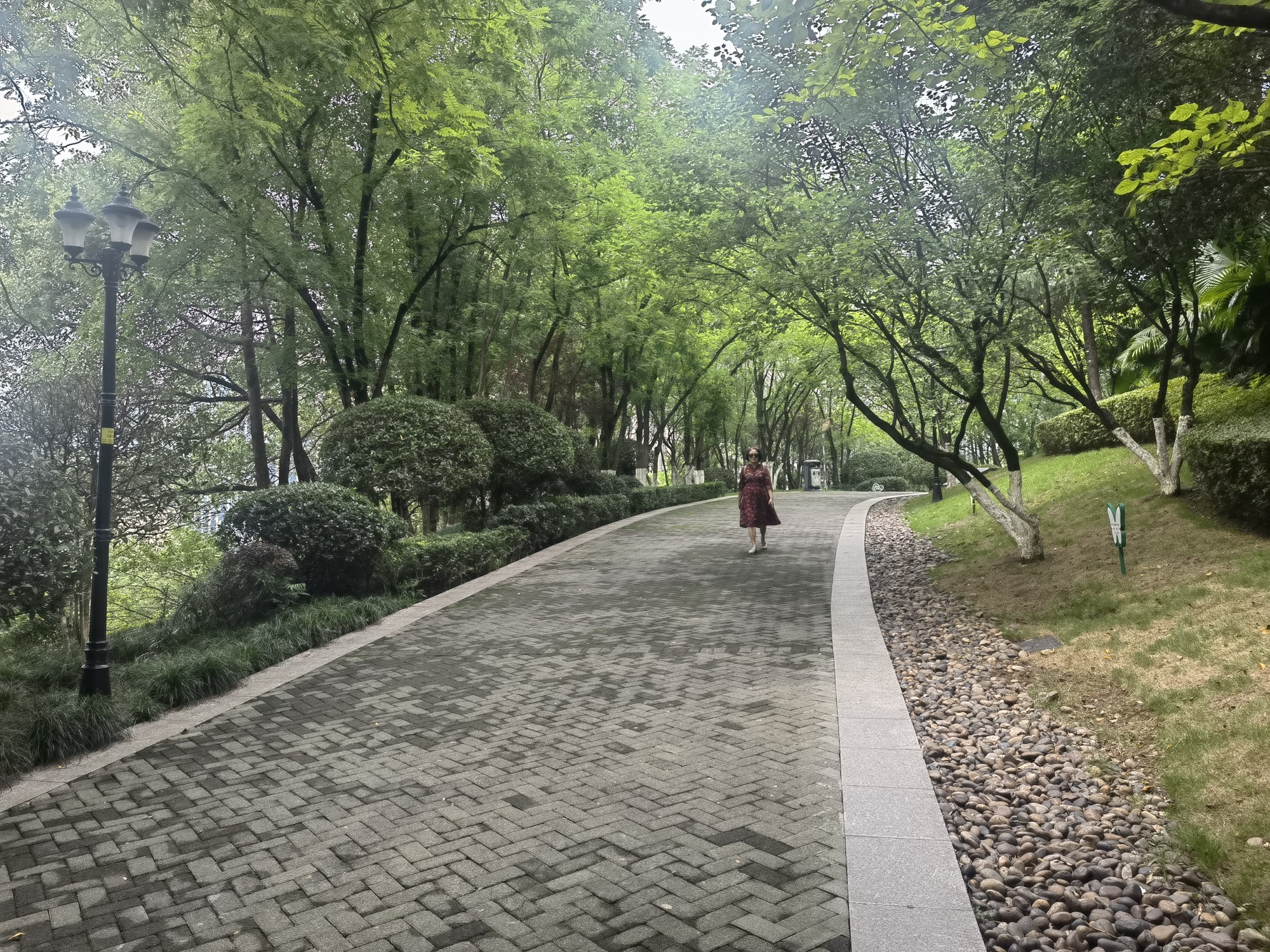同景公园旅行图片 2