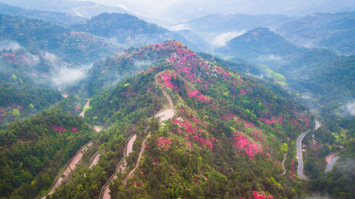 云雾山旅行图片 1