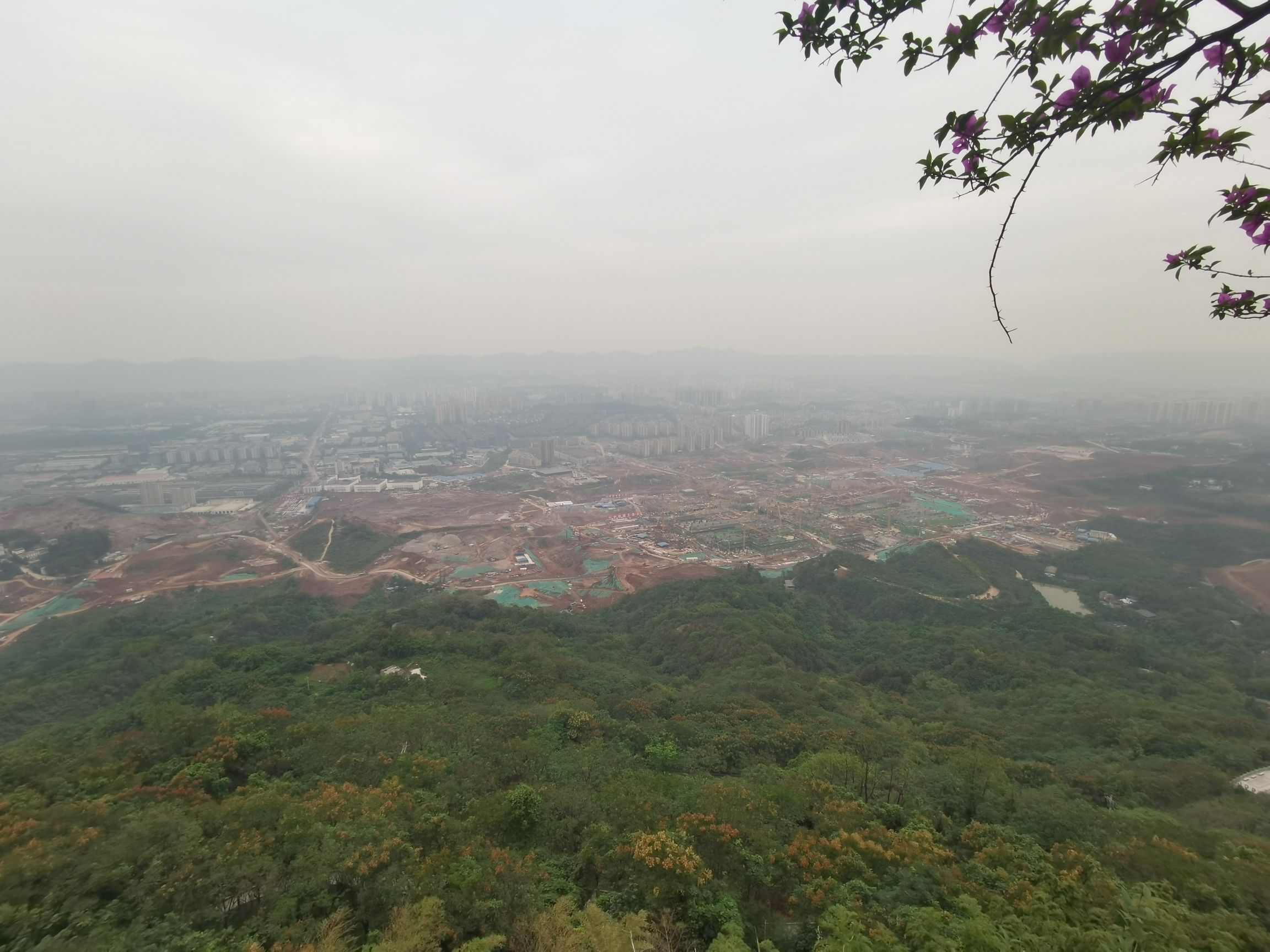 云雾山旅行图片 1