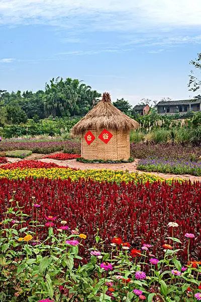 重庆花木世界旅行图片 2