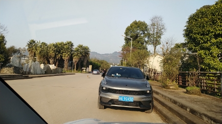 重庆花木世界旅行图片 2