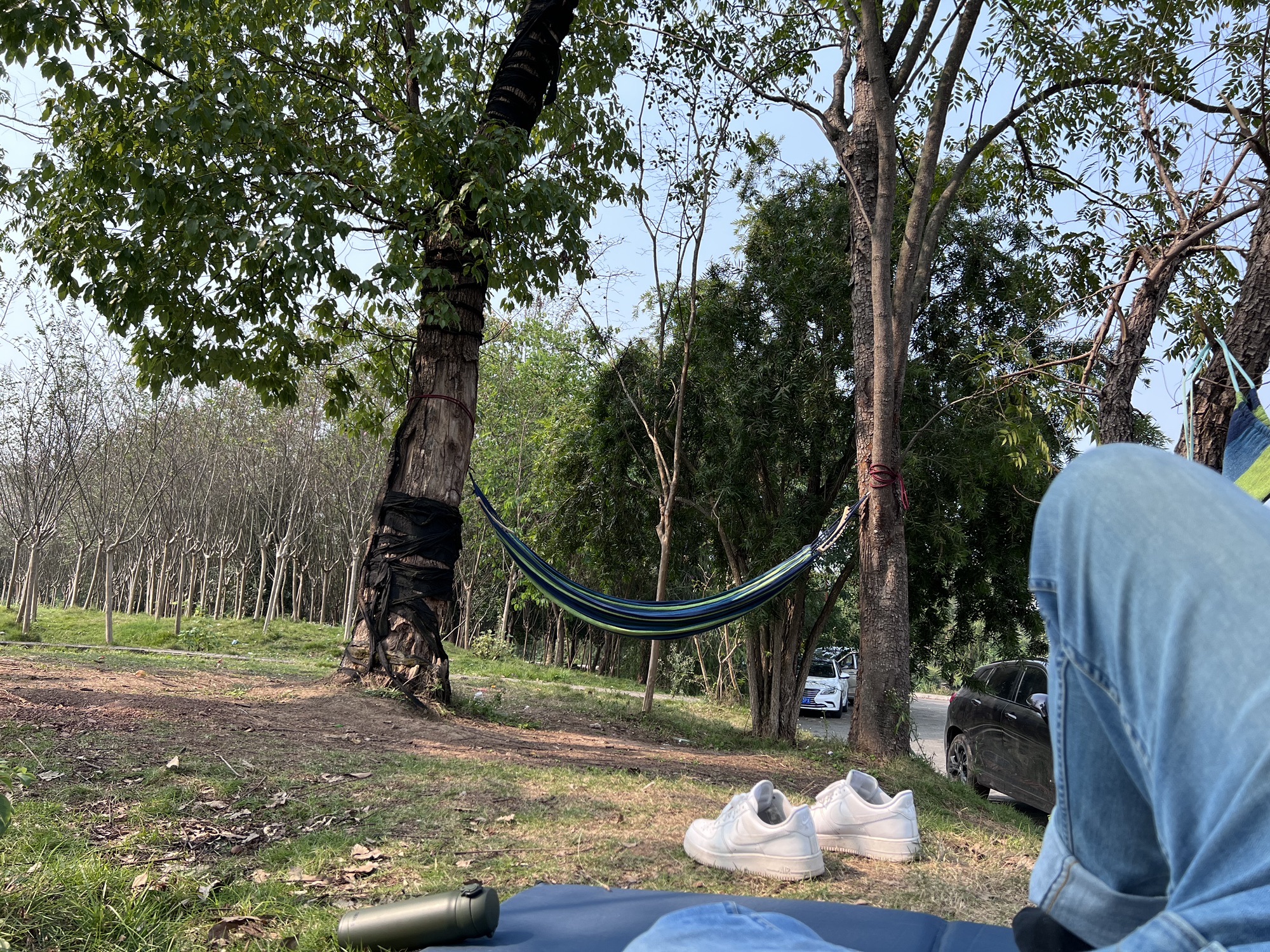 重庆花木世界旅行图片 2