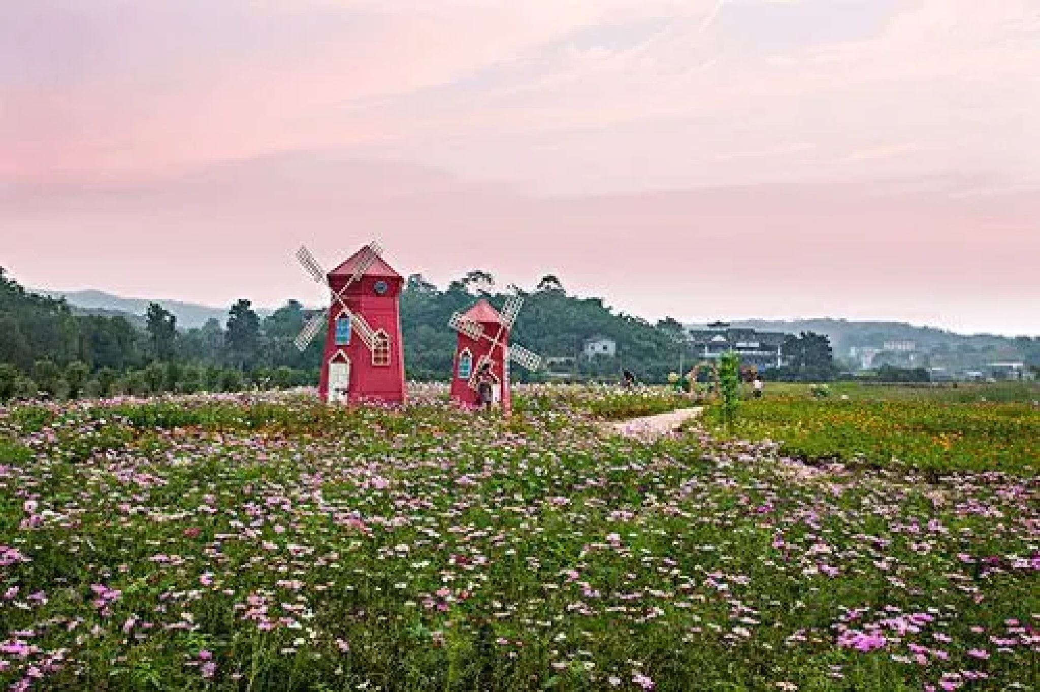 重庆花木世界旅行图片 1