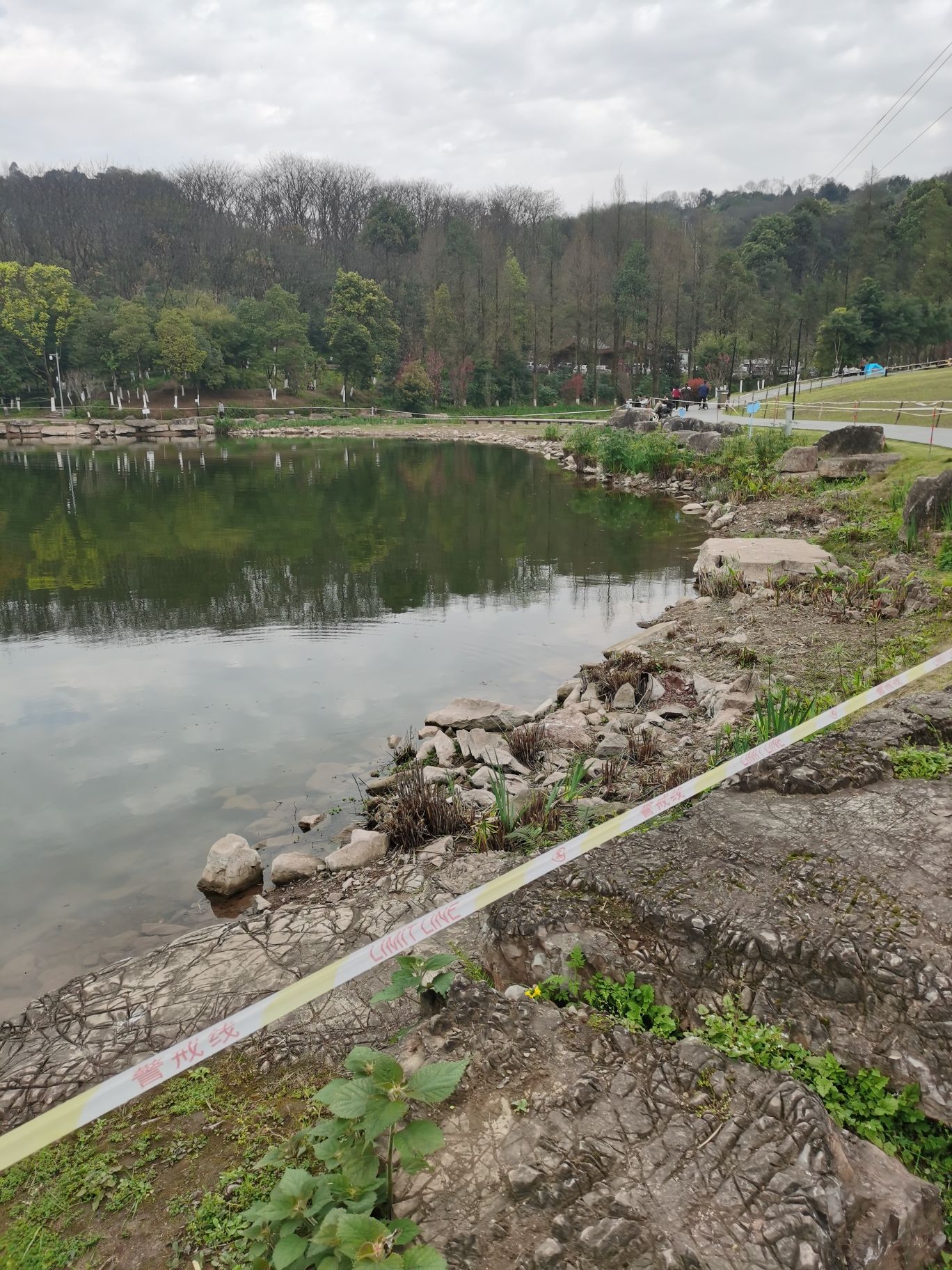 照母山森林公园旅行图片 2