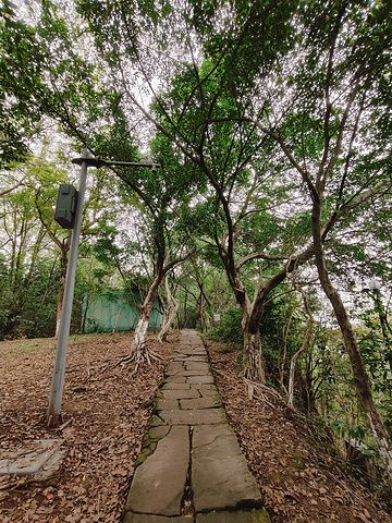 照母山森林公园旅行图片 1