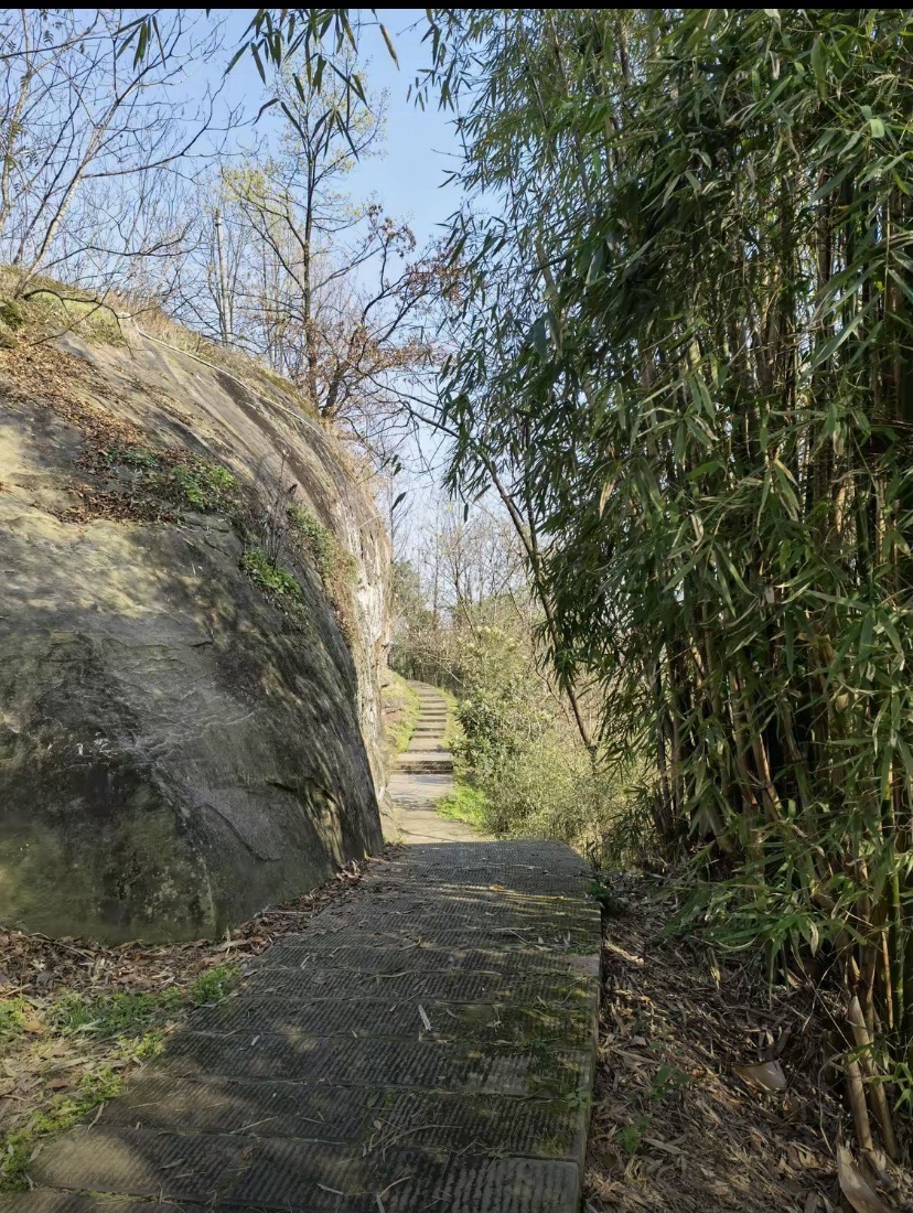 照母山森林公园旅行图片 2