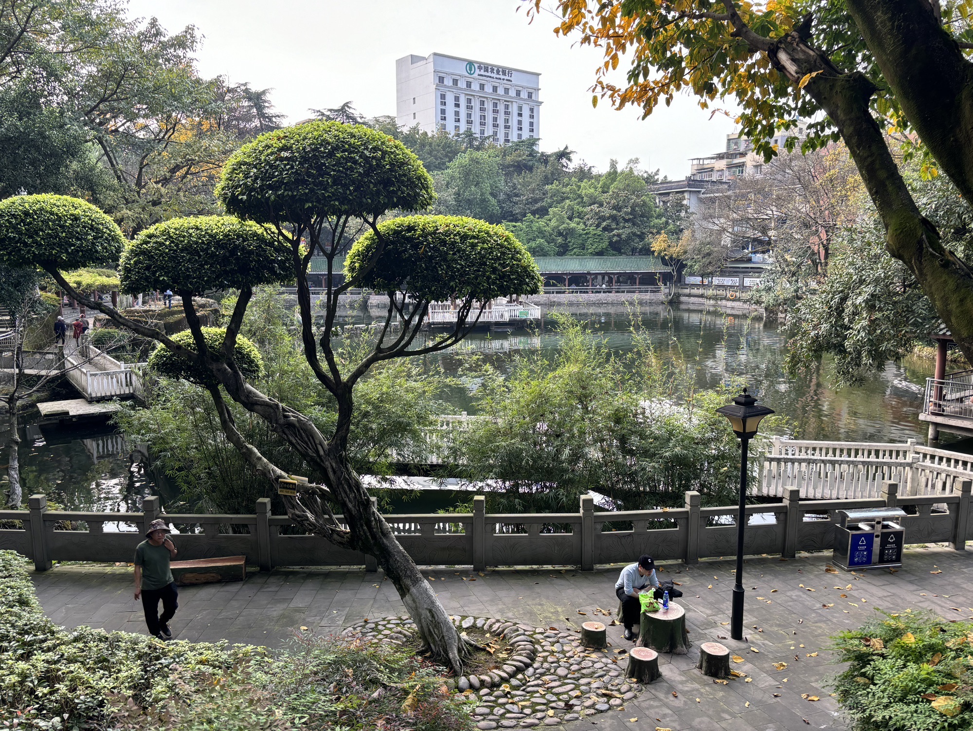 晚晴园旅行图片 3