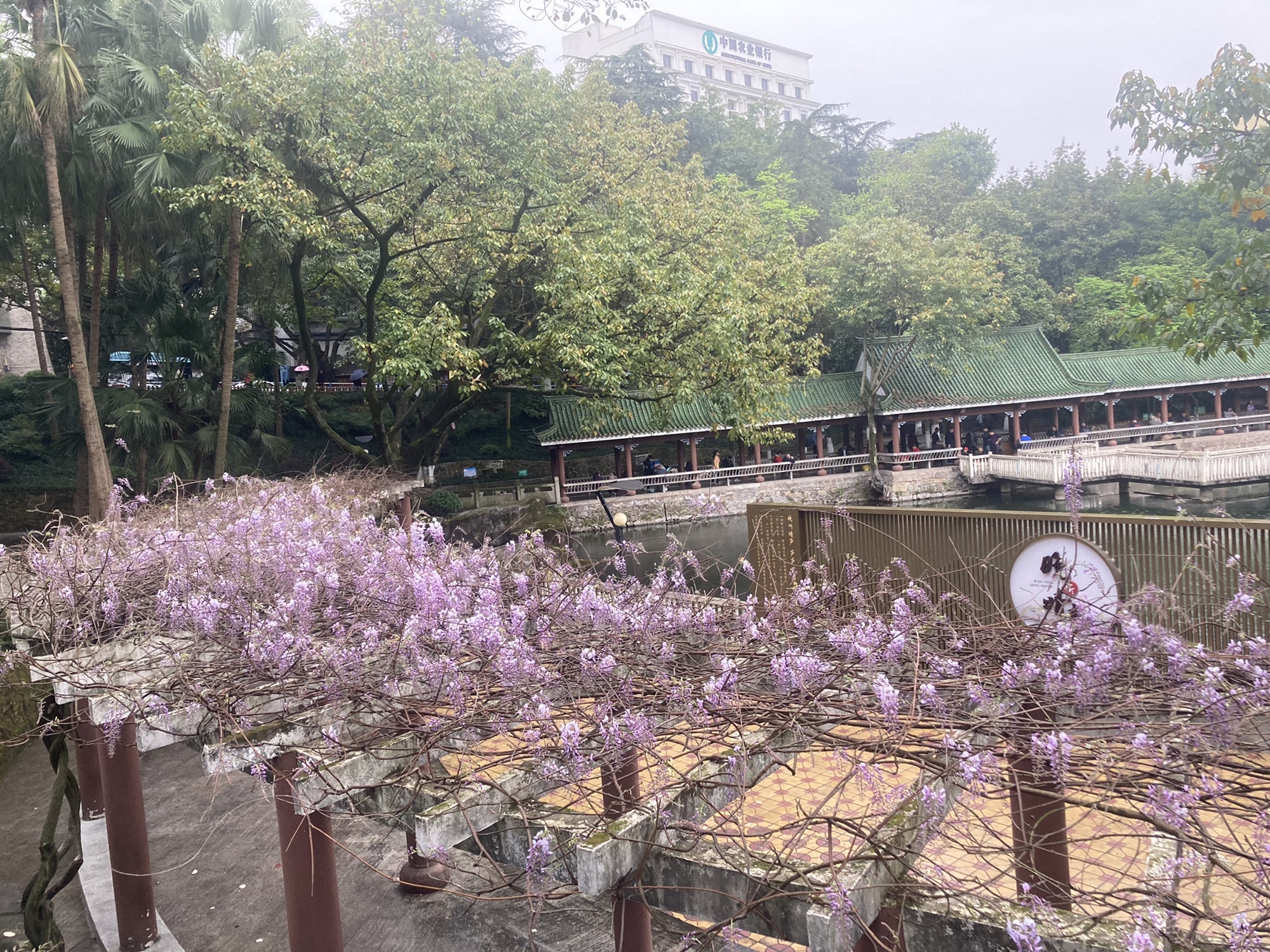晚晴园旅行图片 2