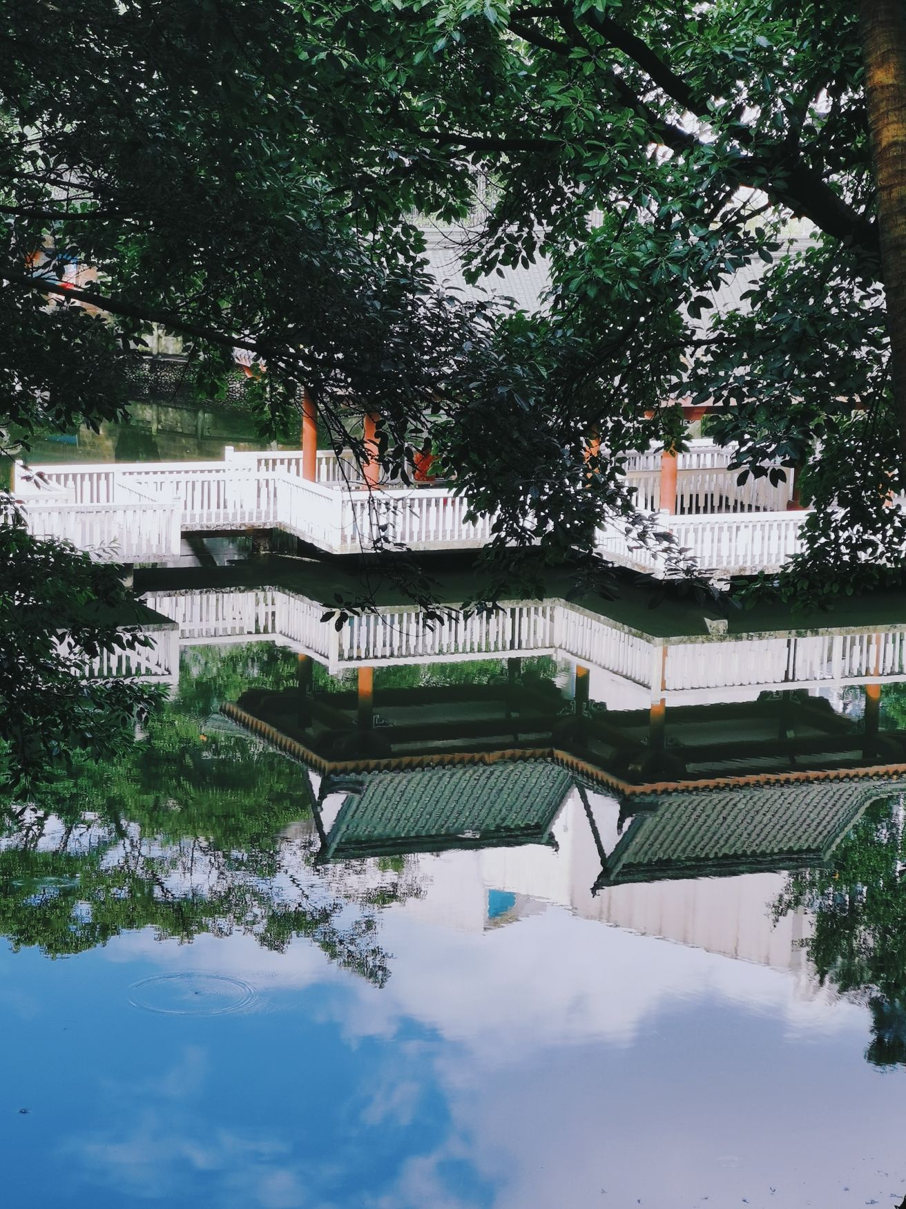 晚晴园旅行图片 3