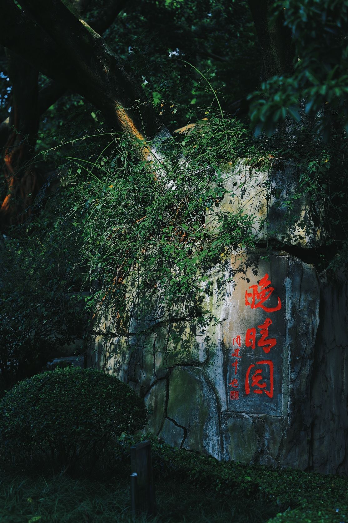晚晴园旅行图片 1
