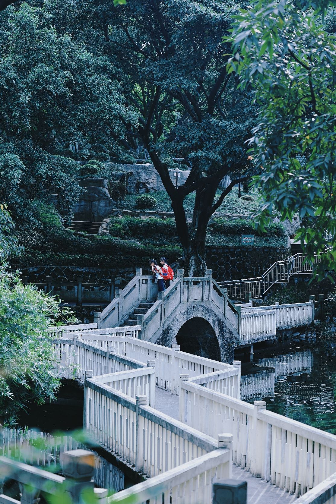 晚晴园旅行图片 2