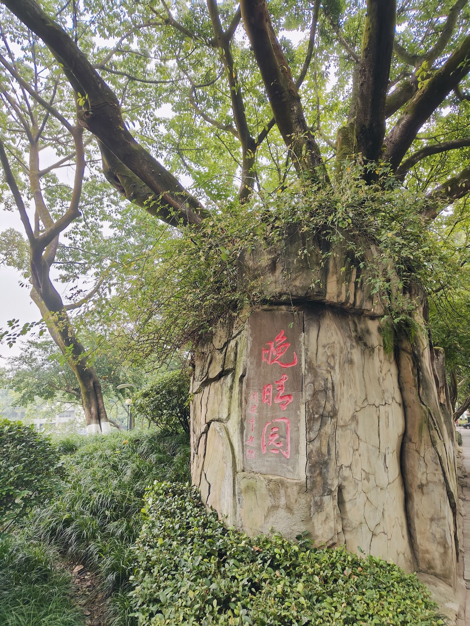 晚晴园旅行图片 1