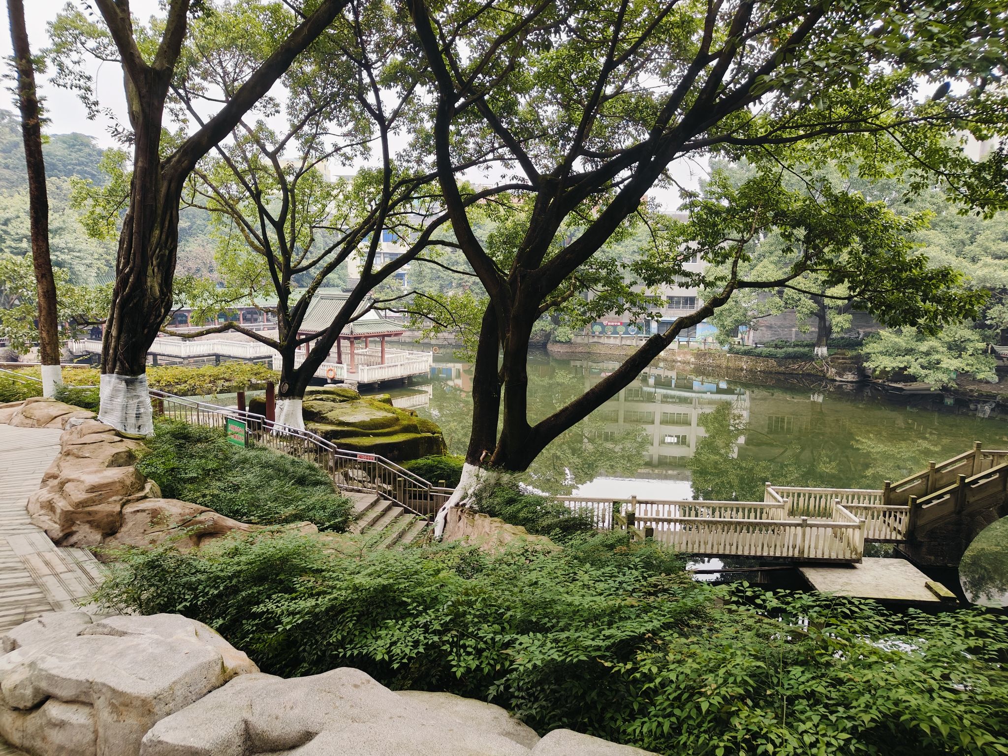 晚晴园旅行图片 2