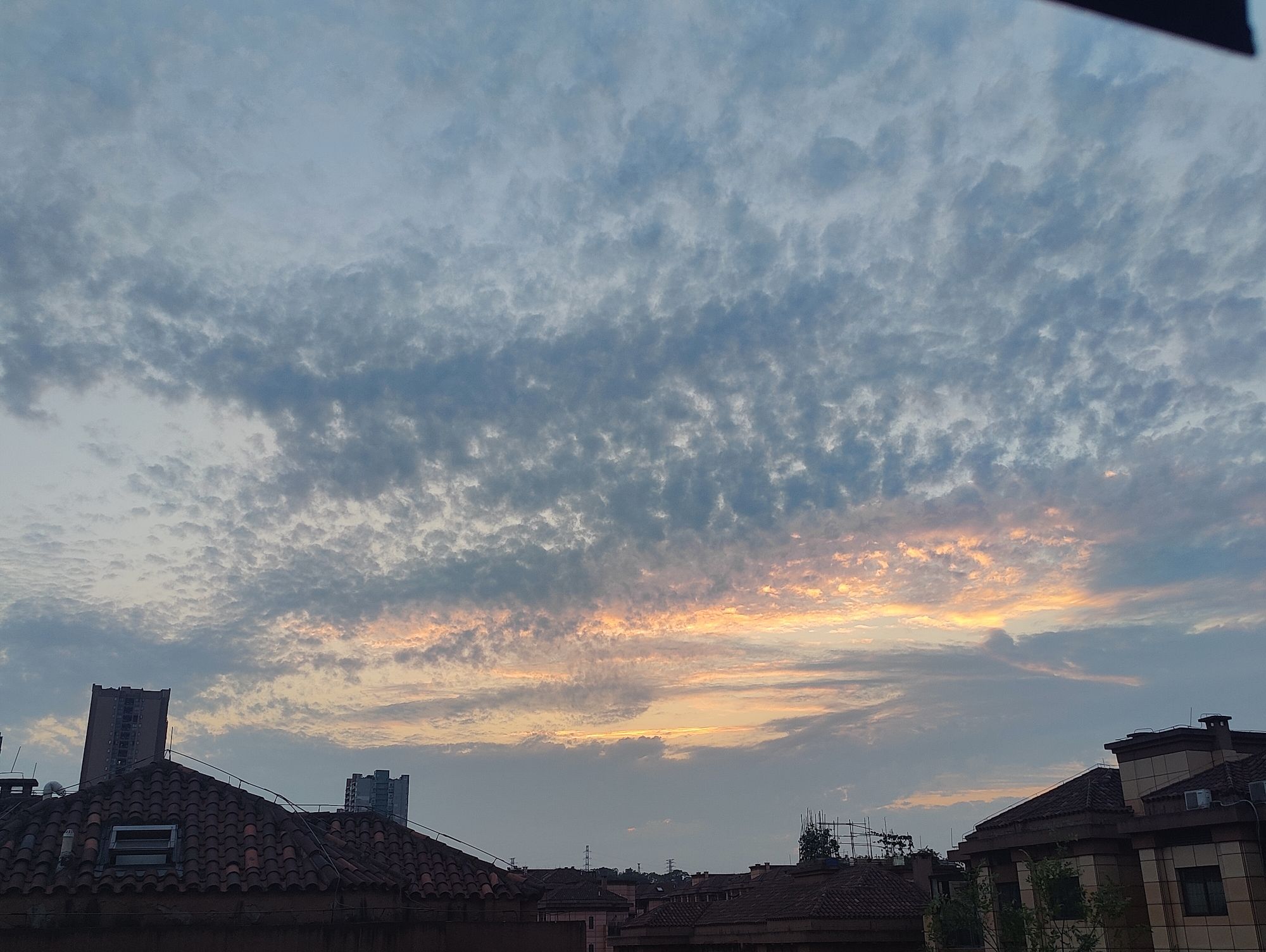 翠云公园旅行图片 3