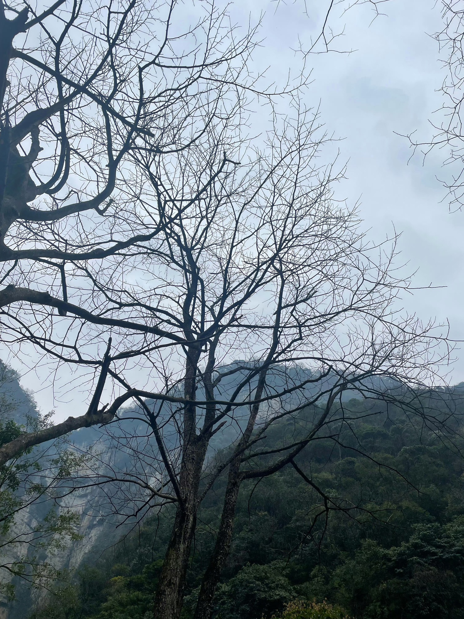 重庆南川区神龙峡风景区旅行图片 3