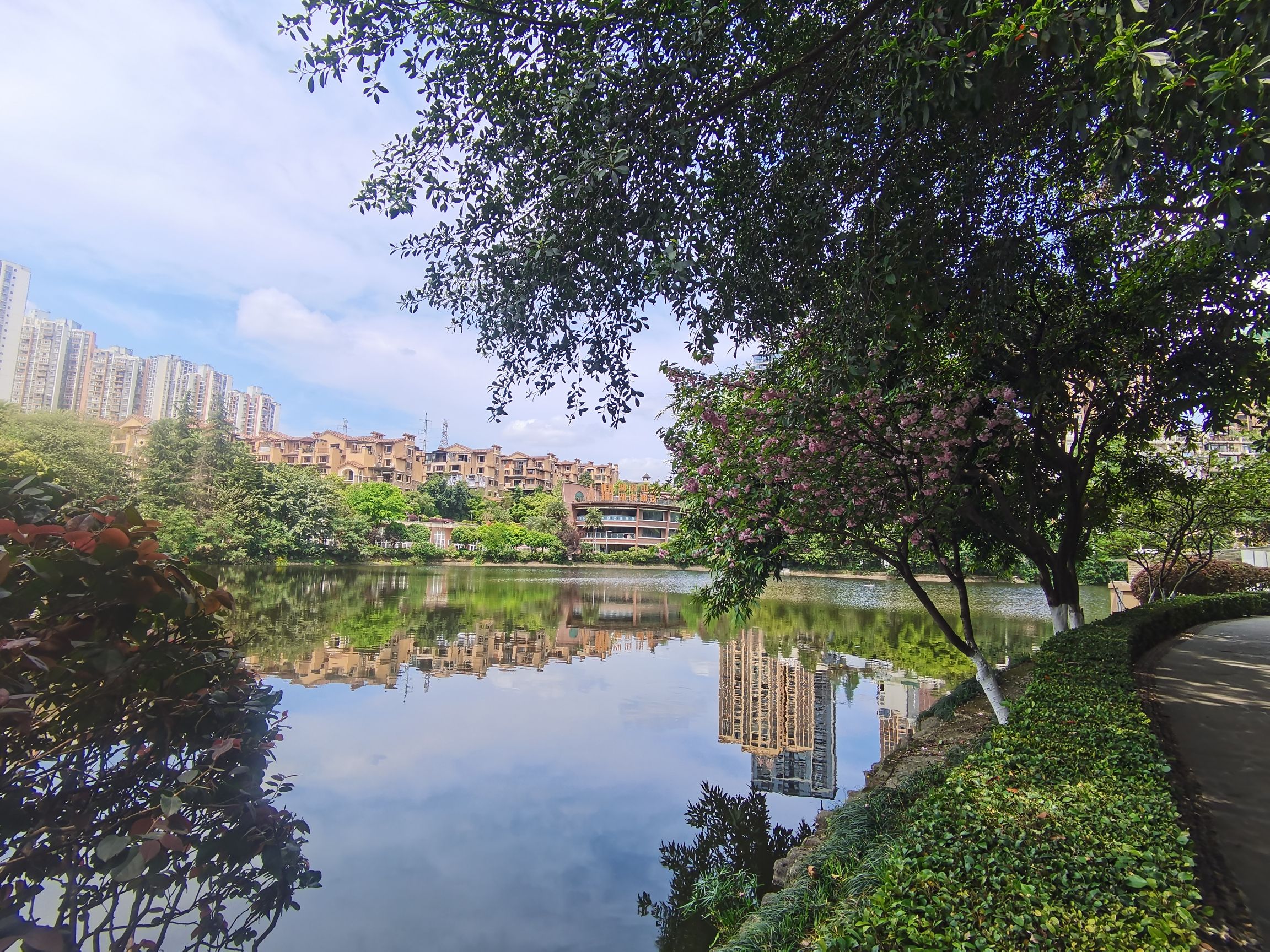 果塘湖公园旅行图片 2