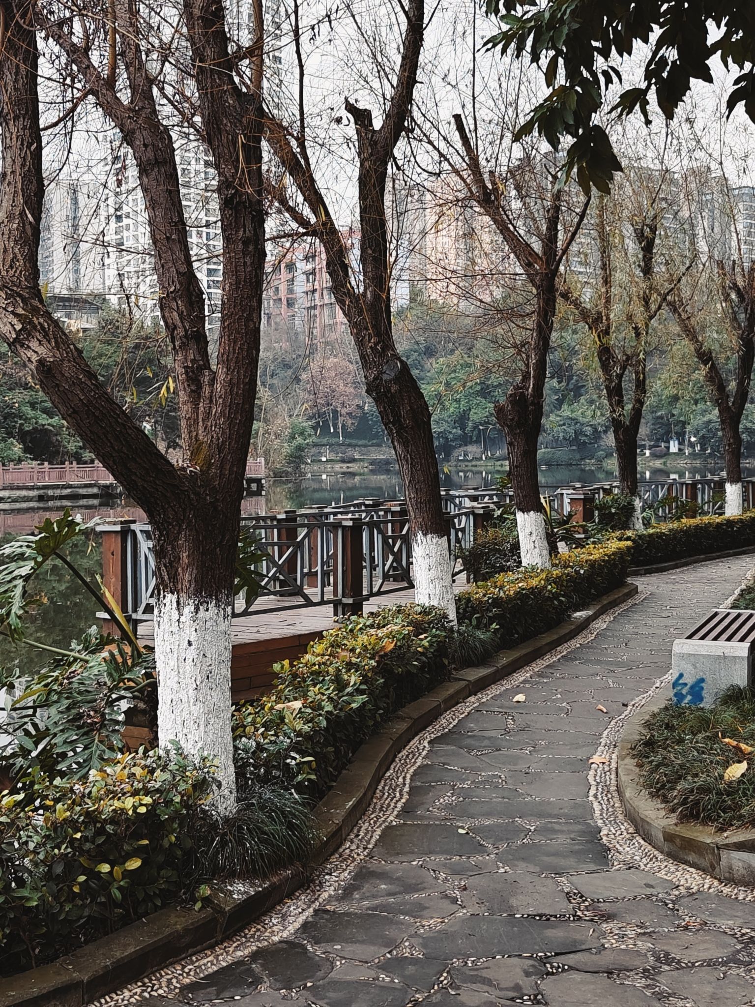 果塘湖公园旅行图片 1