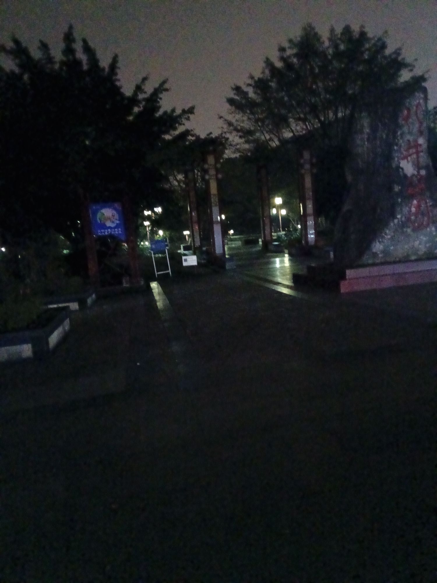 龙井公园旅行图片 3