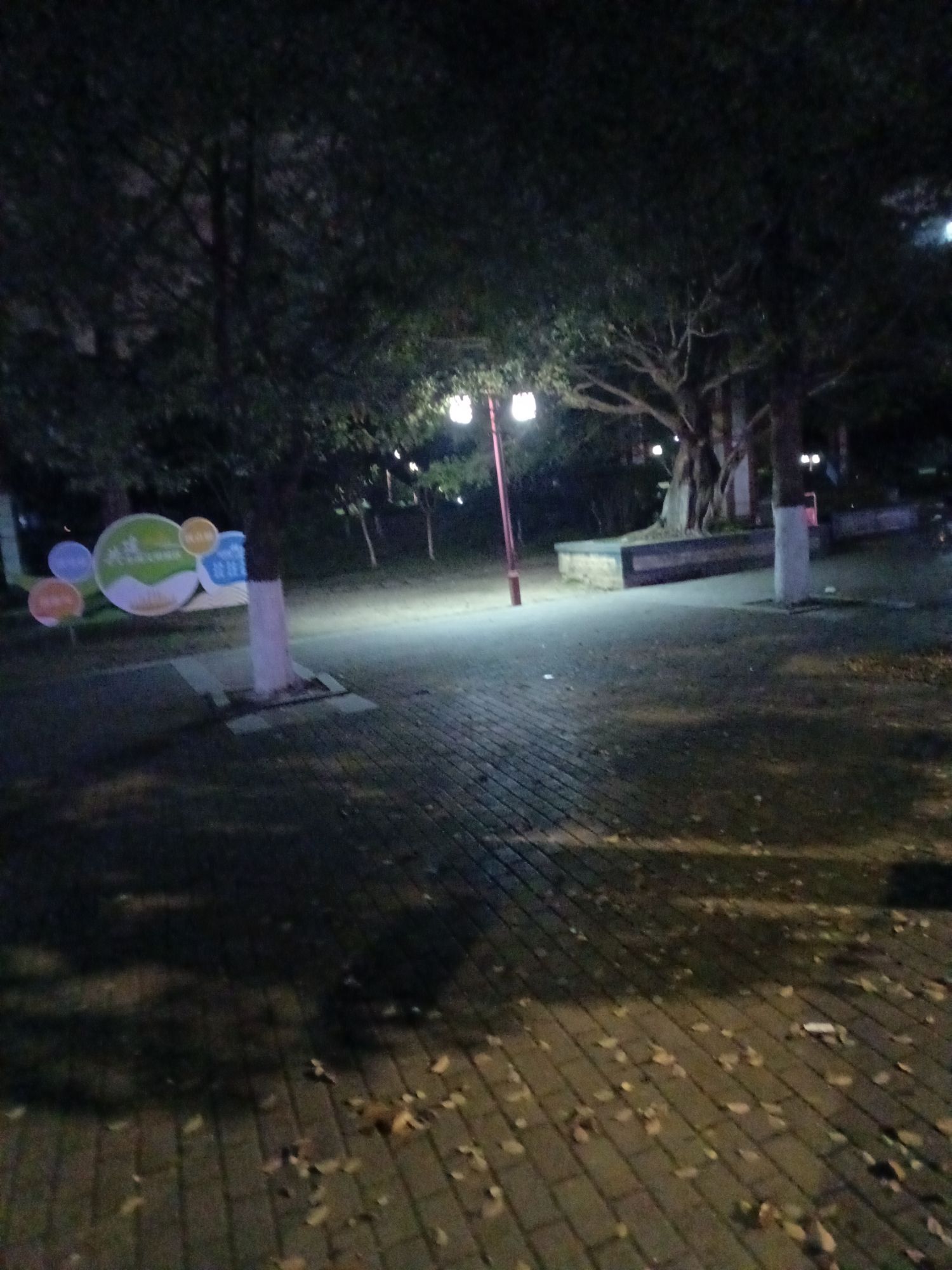 龙井公园旅行图片 2