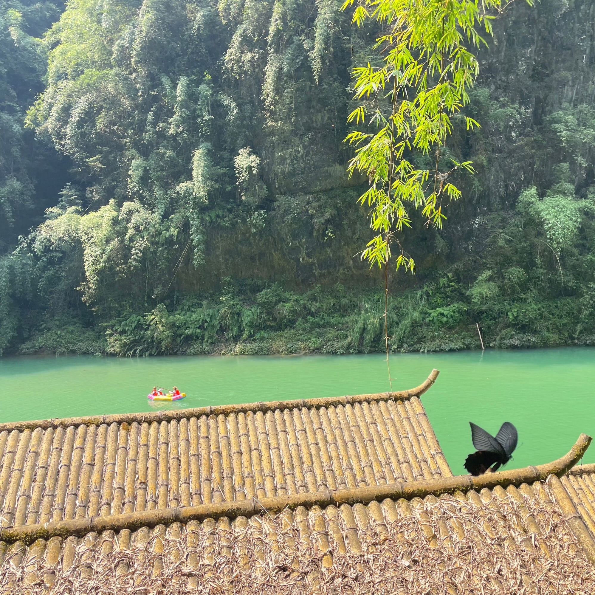 阿依河景区旅行图片 1