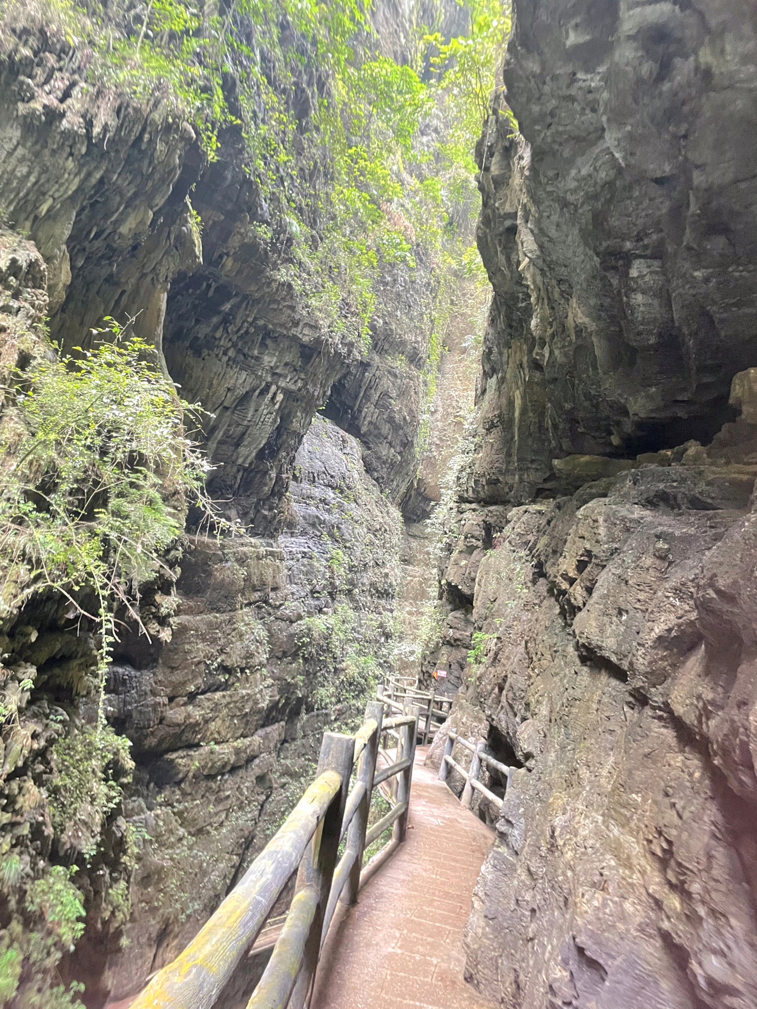 阿依河景区旅行图片 3