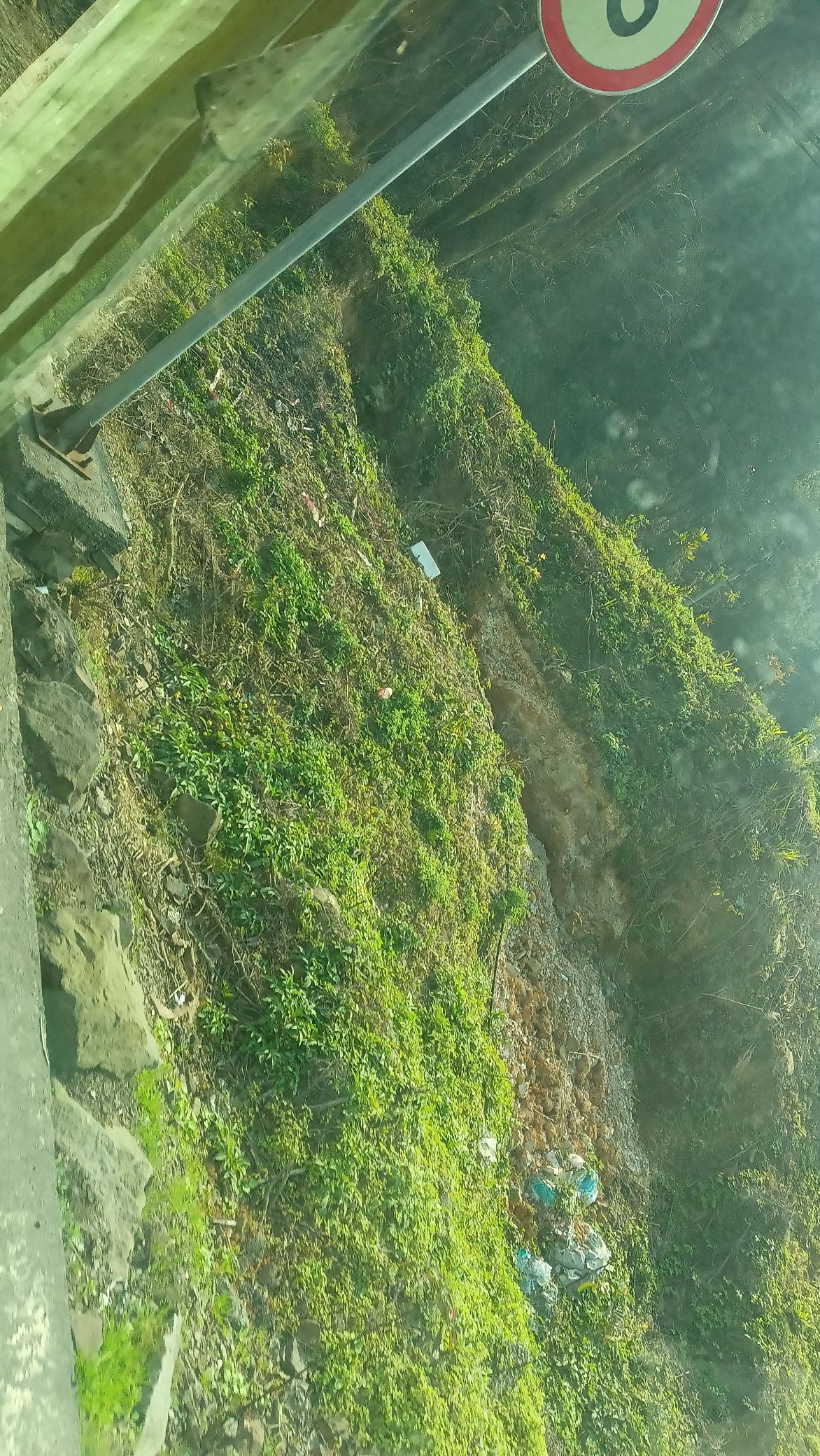 临峰山郊野公园旅行图片 1