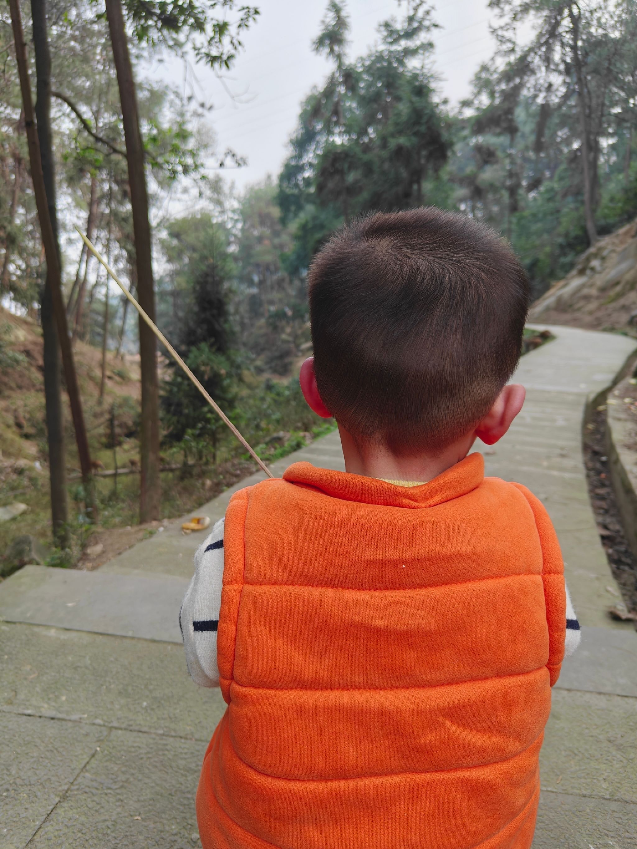 临峰山郊野公园旅行图片 3