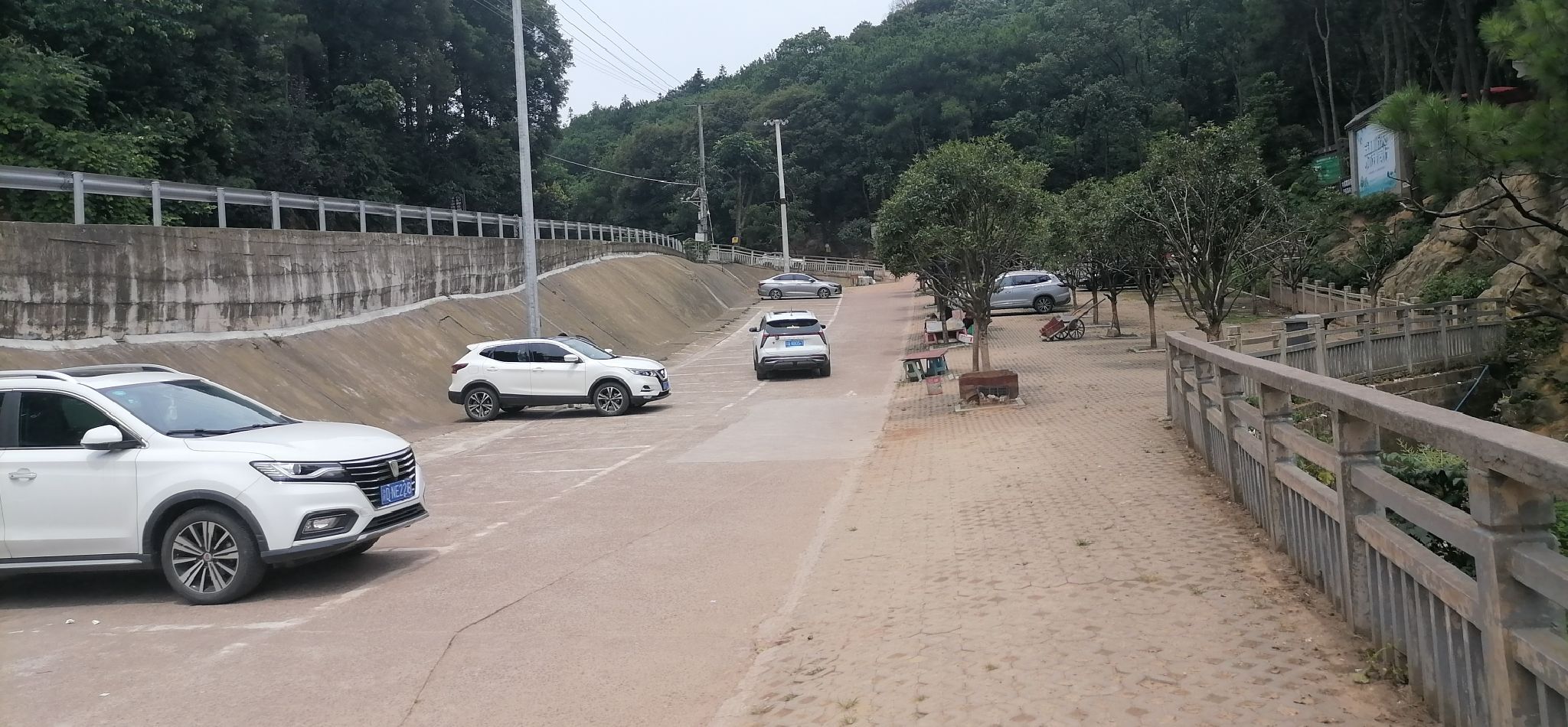 临峰山郊野公园旅行图片 1
