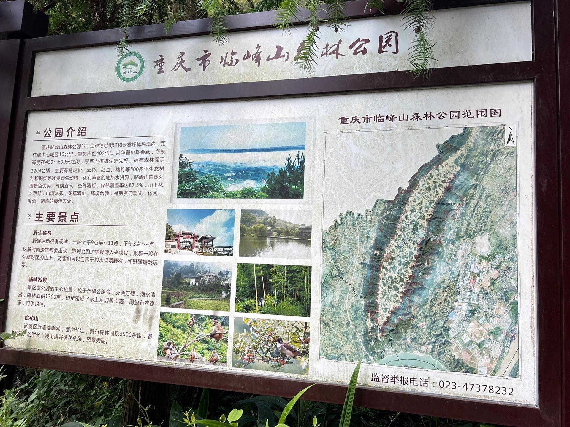 临峰山郊野公园旅行图片 3