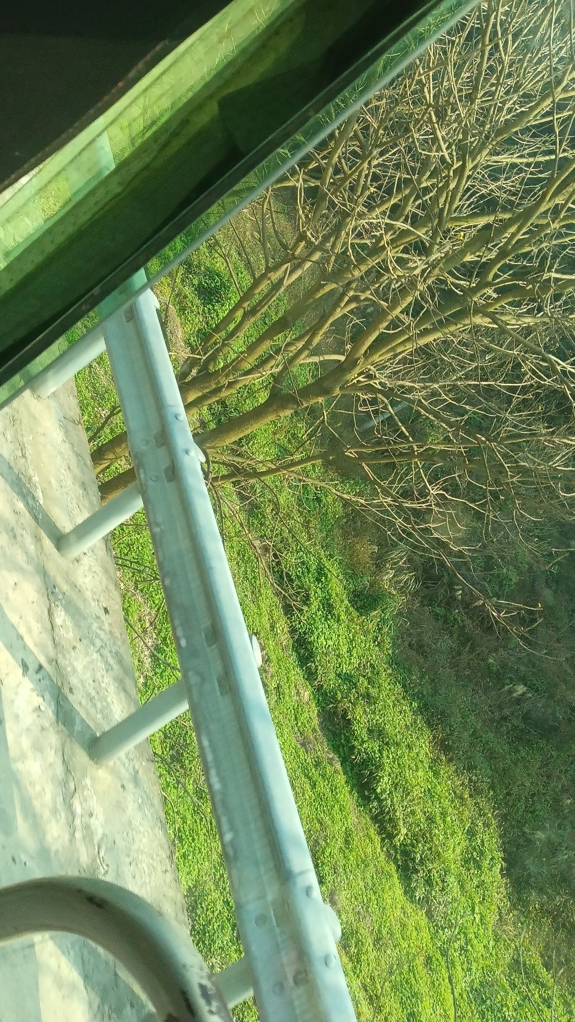 临峰山郊野公园旅行图片 2