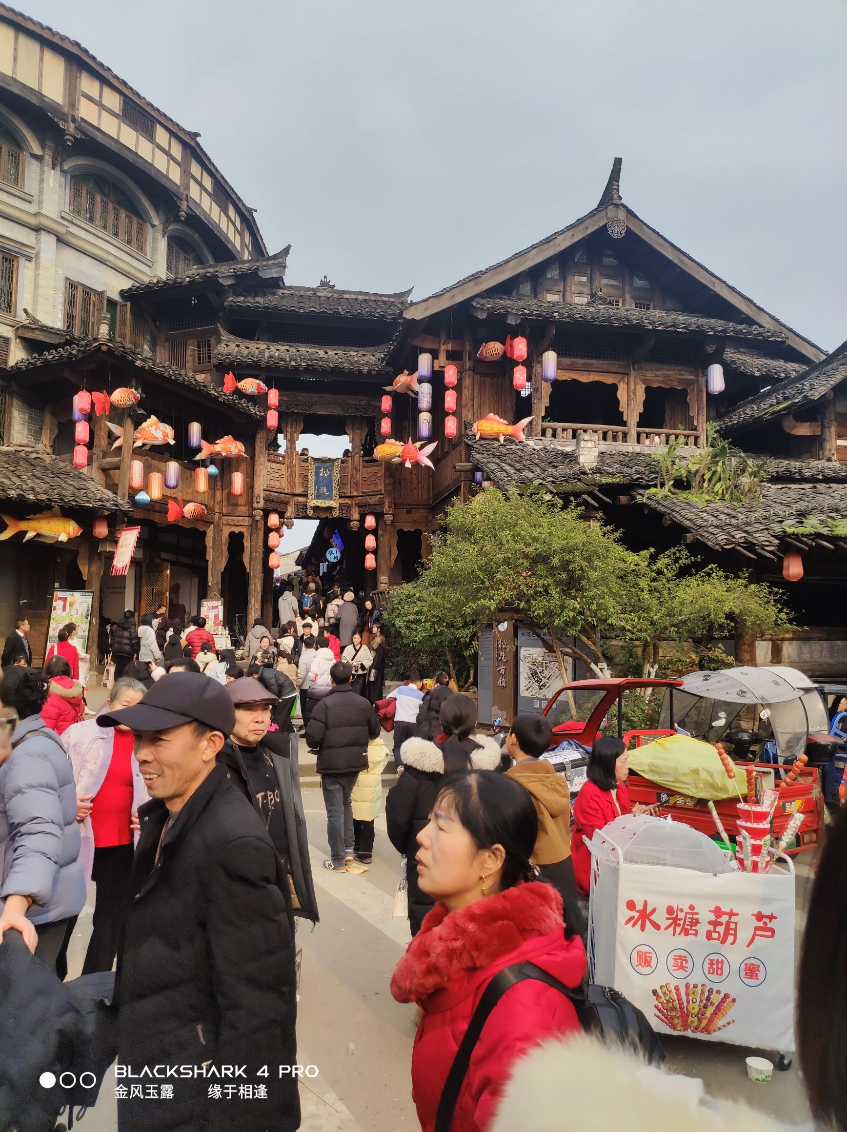 松溉古镇旅行图片 1
