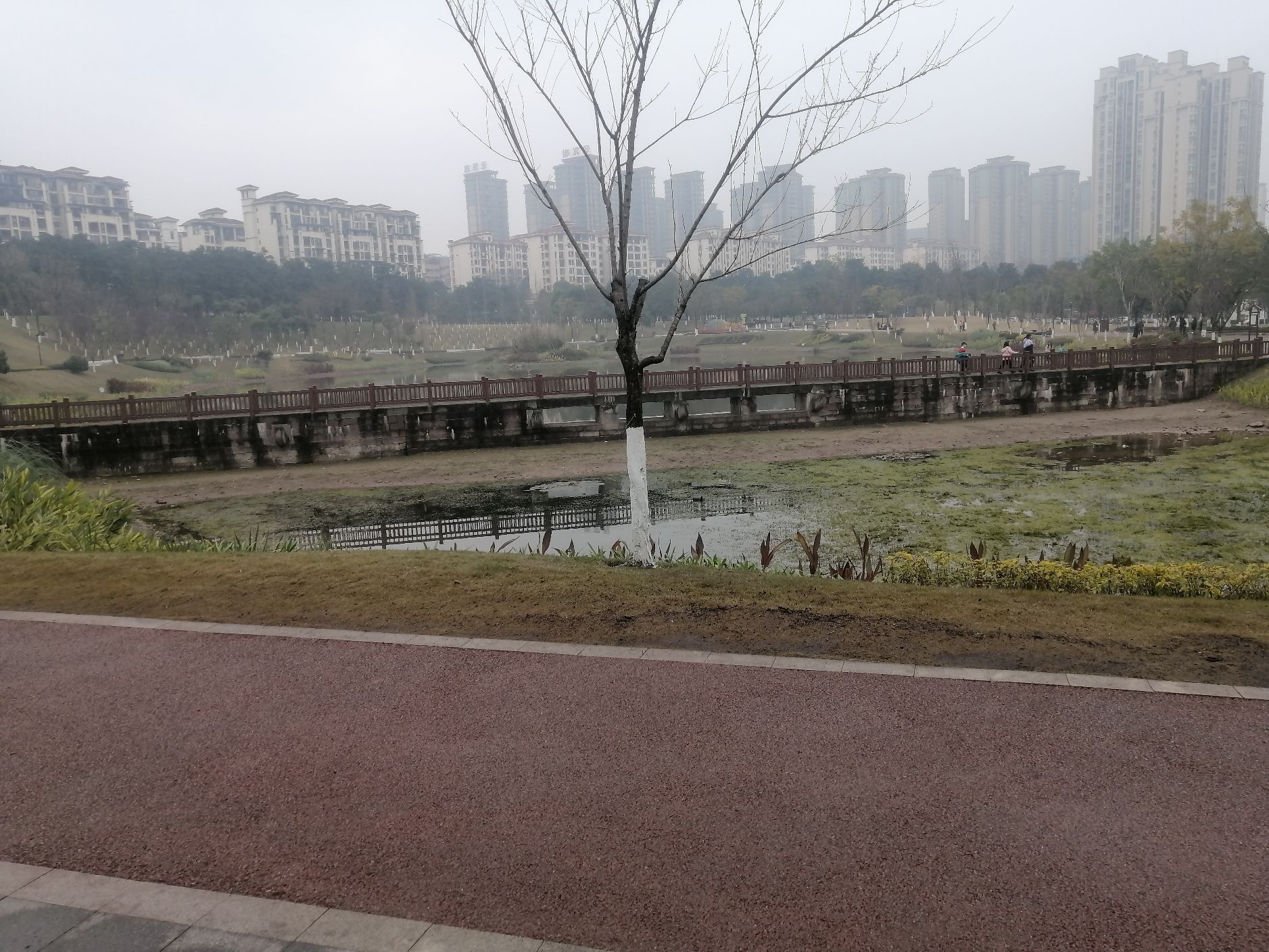 爱情公园旅行图片 3