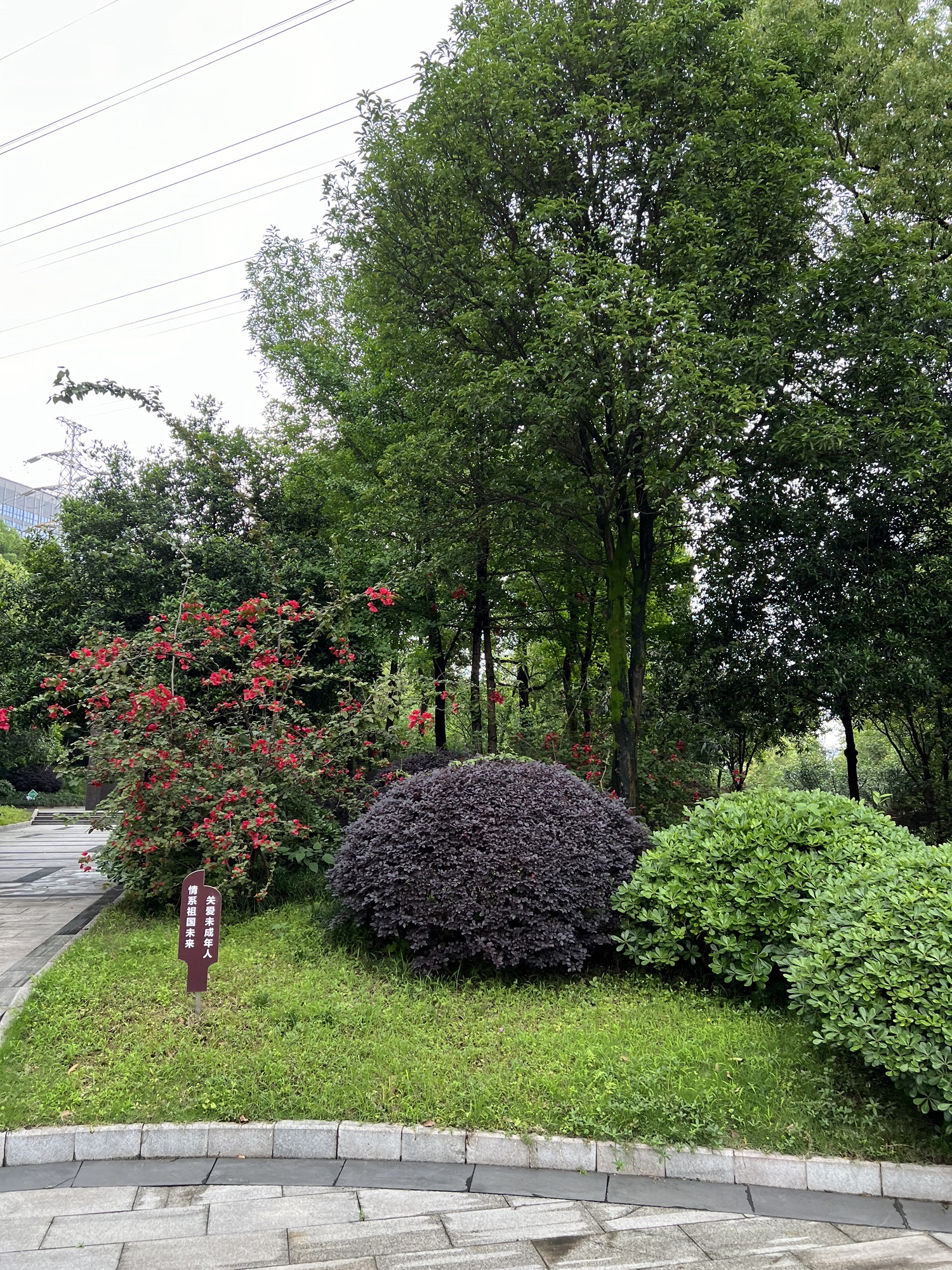 玉山公园旅行图片 3