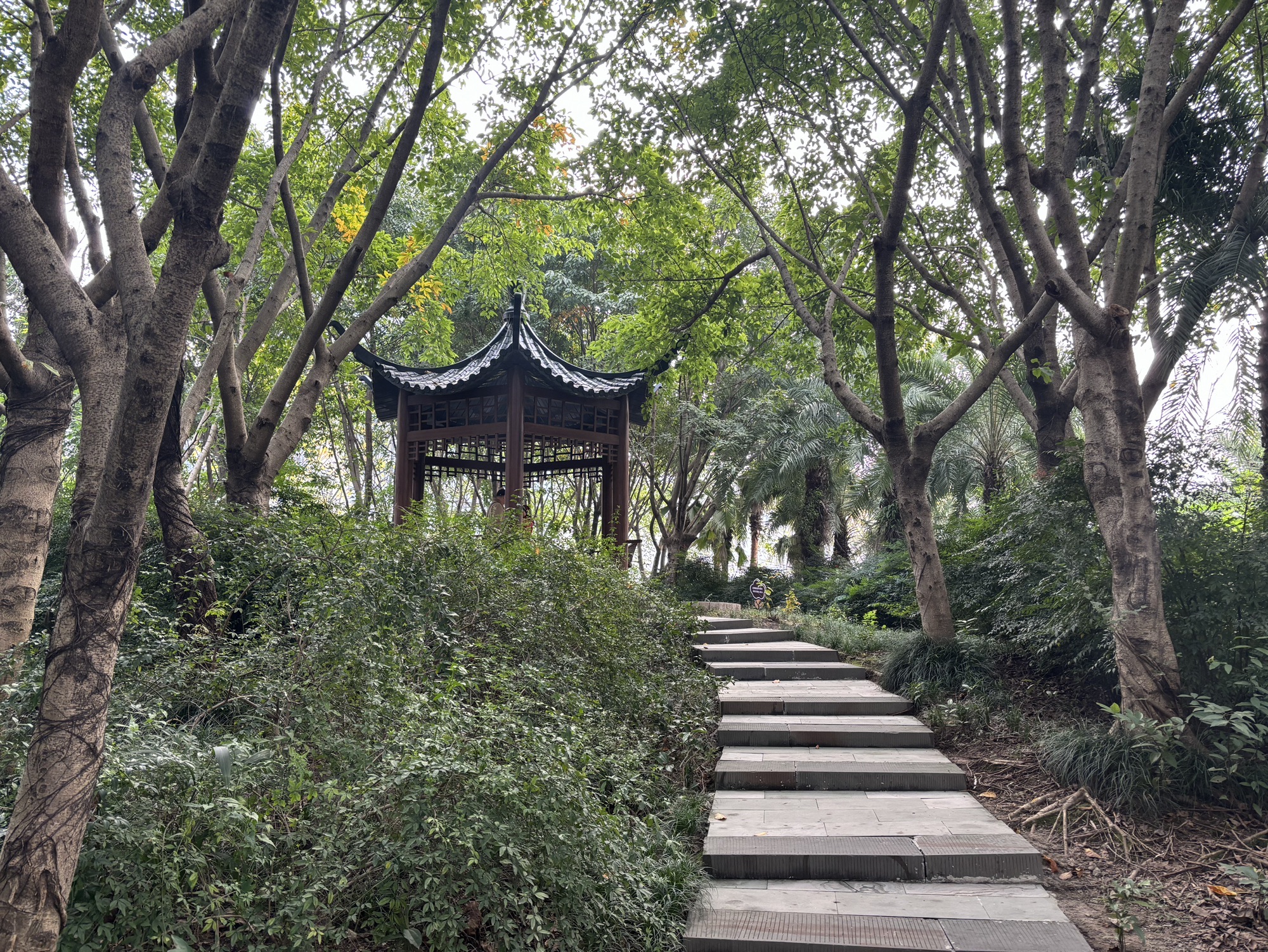 玉山公园旅行图片 3