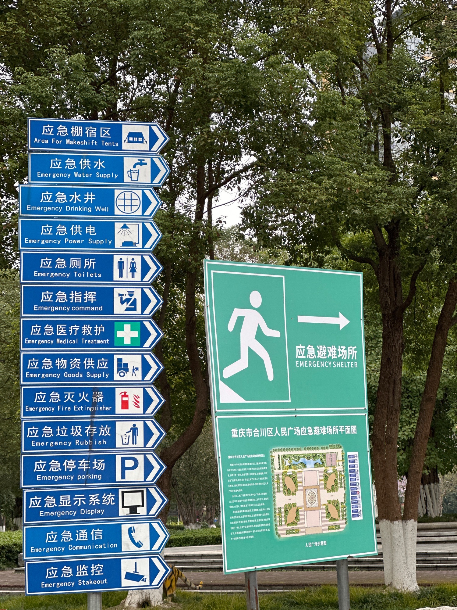 合川人民广场旅行图片 1