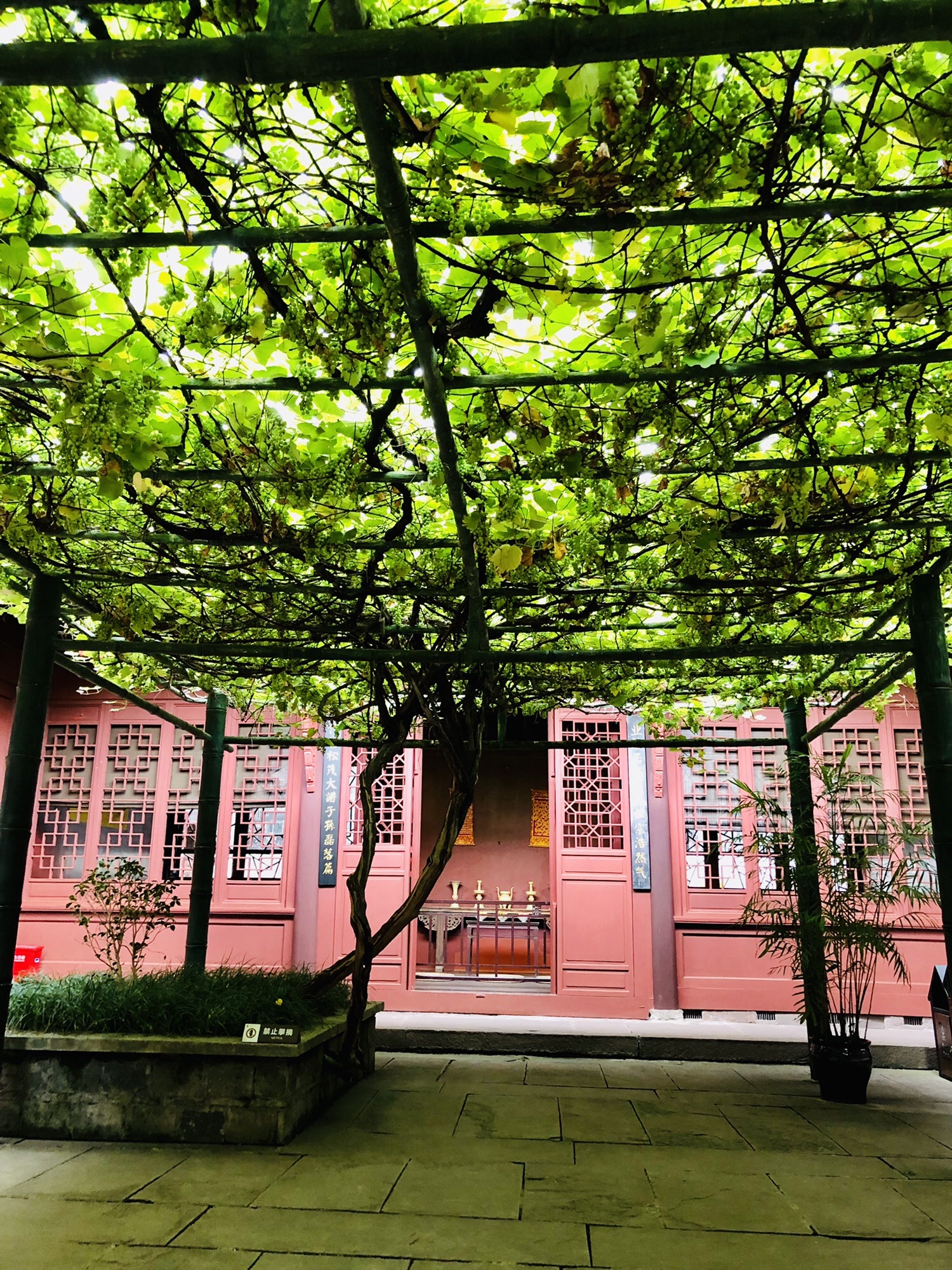 杨闇公同志旧居旅行图片 3